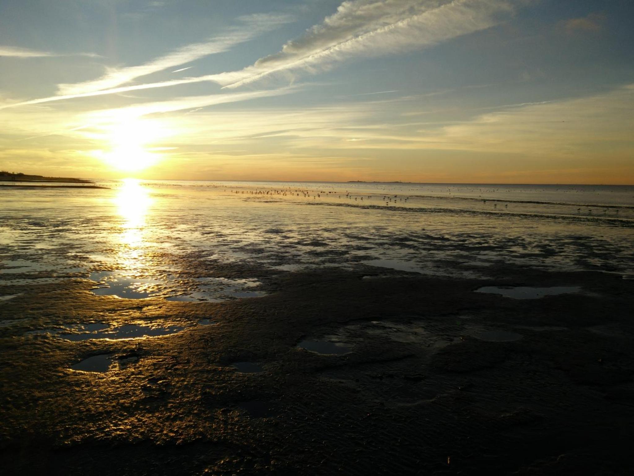 Photo 34