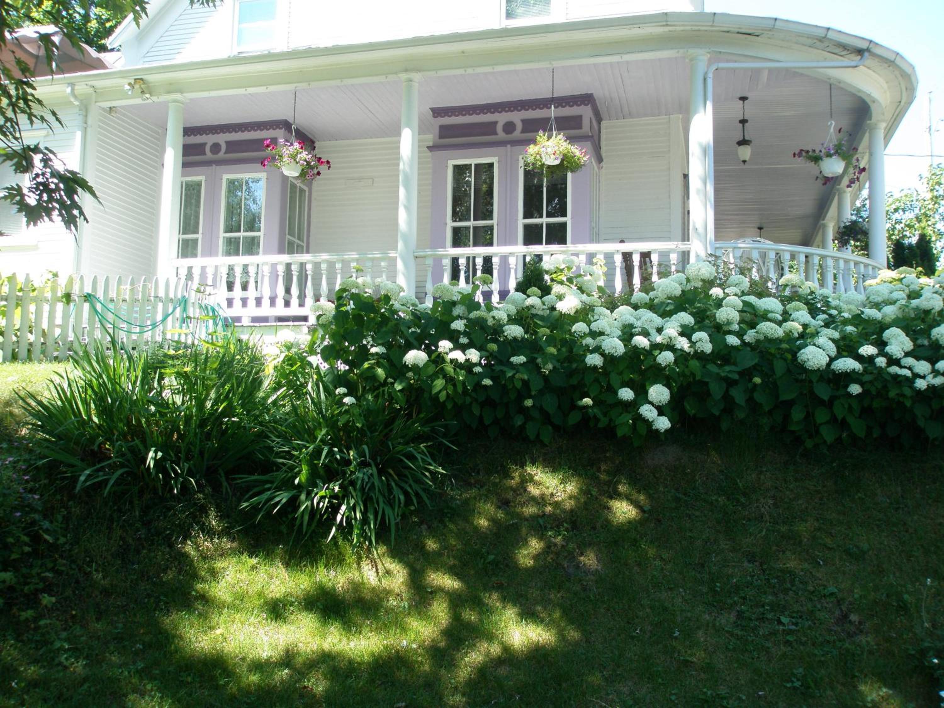 Ô Bois Dormant B&B
