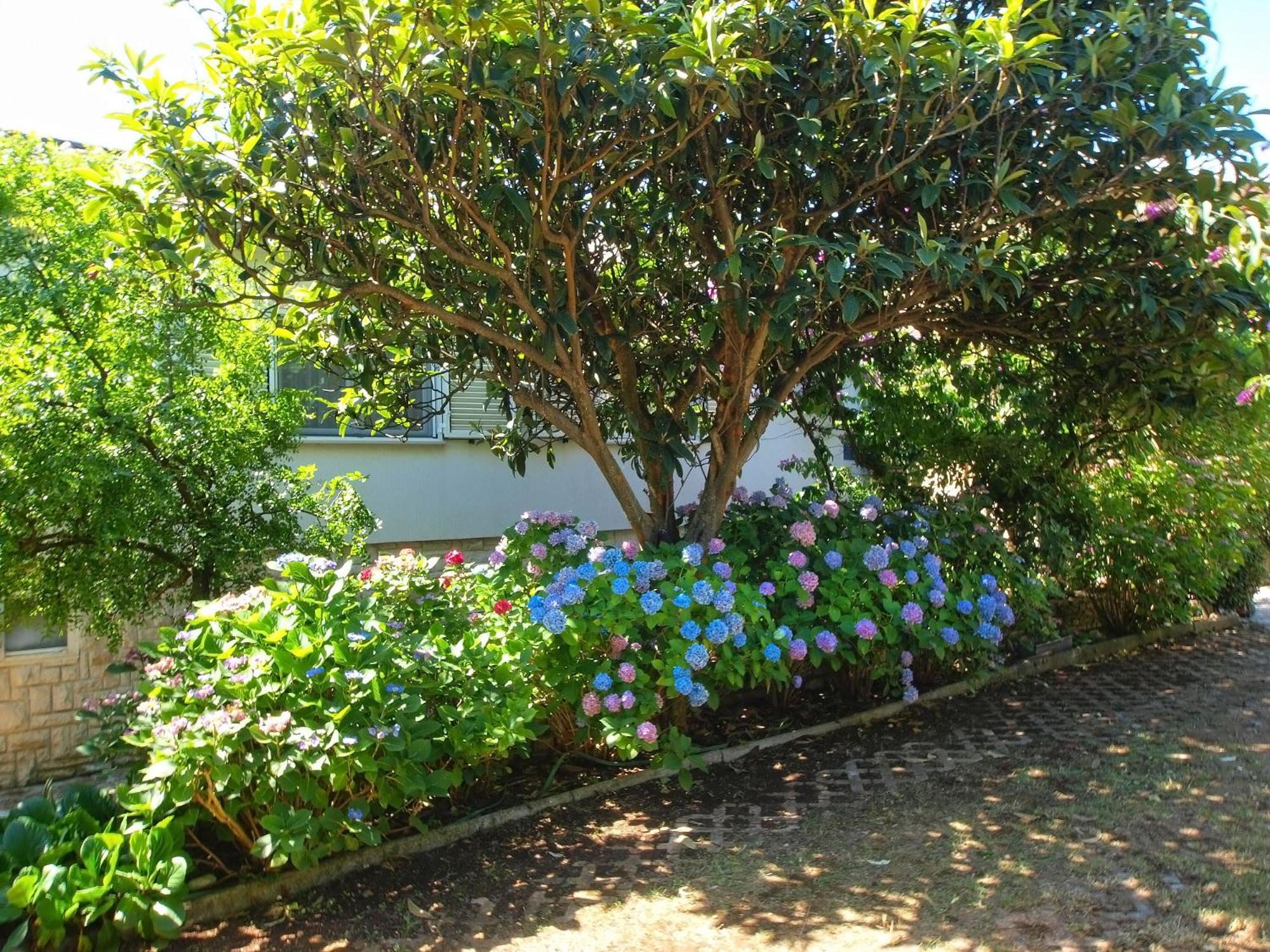 Photo 29