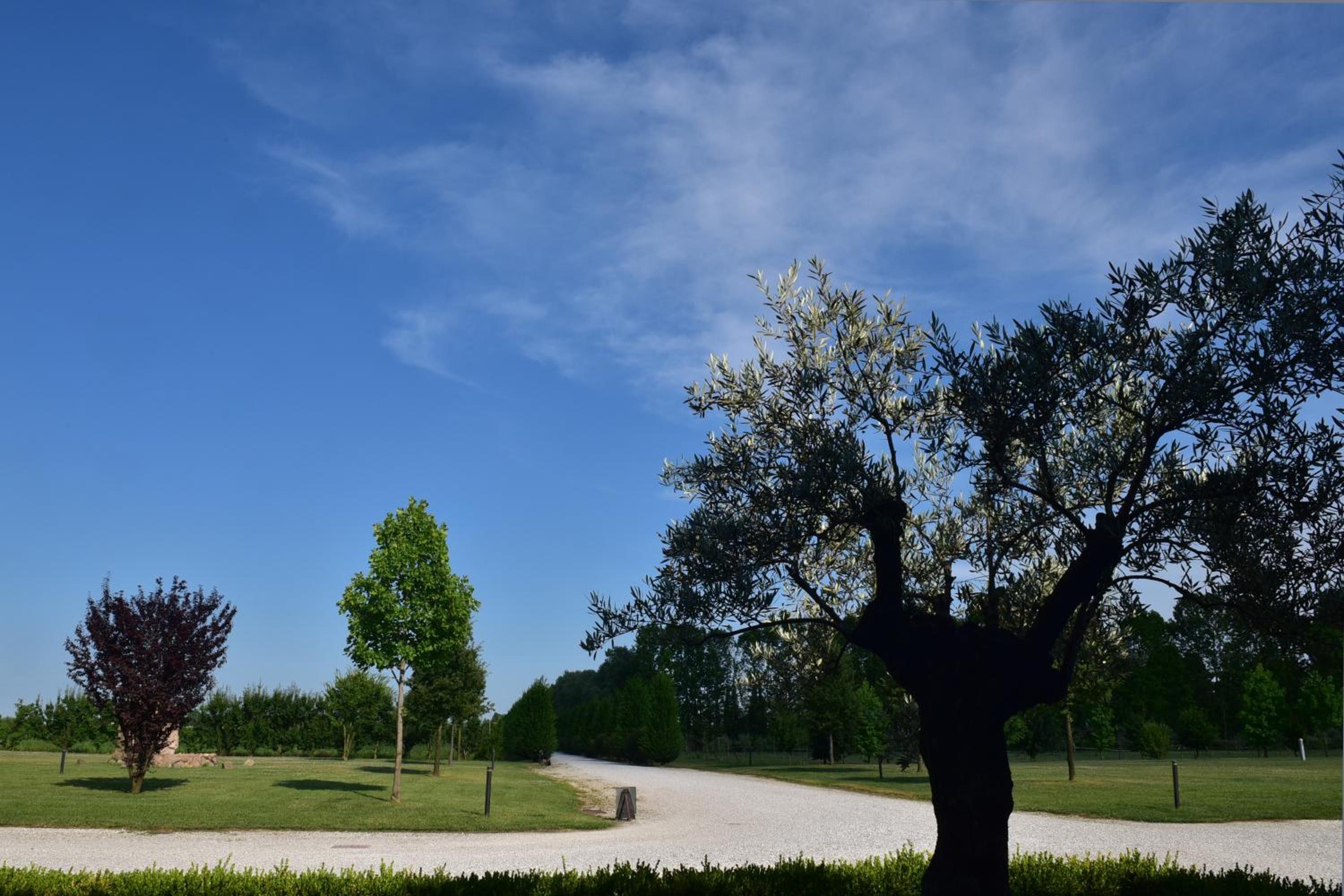 Tenuta Monterosso