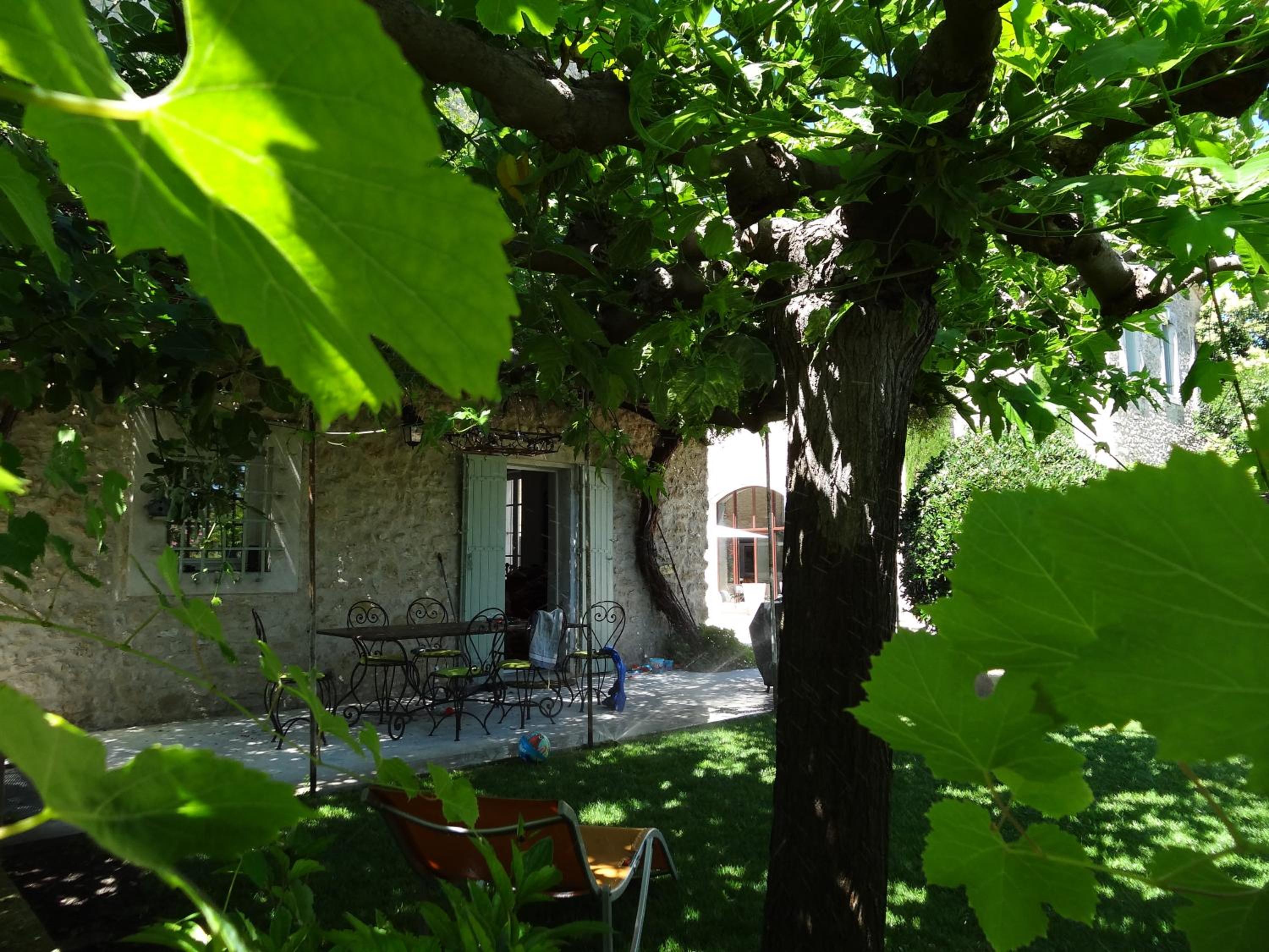 La Cour Des Sens