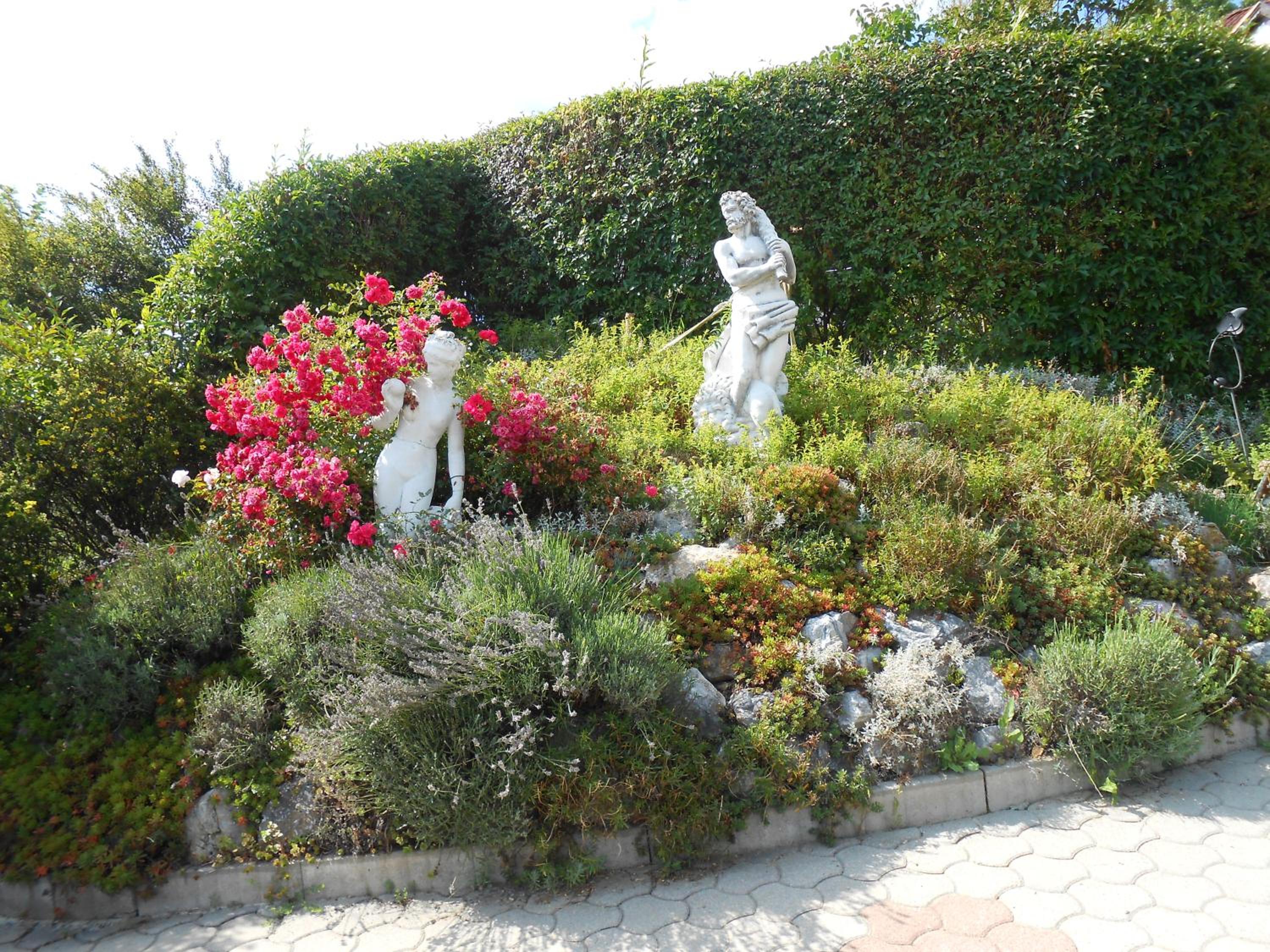 Photo 24