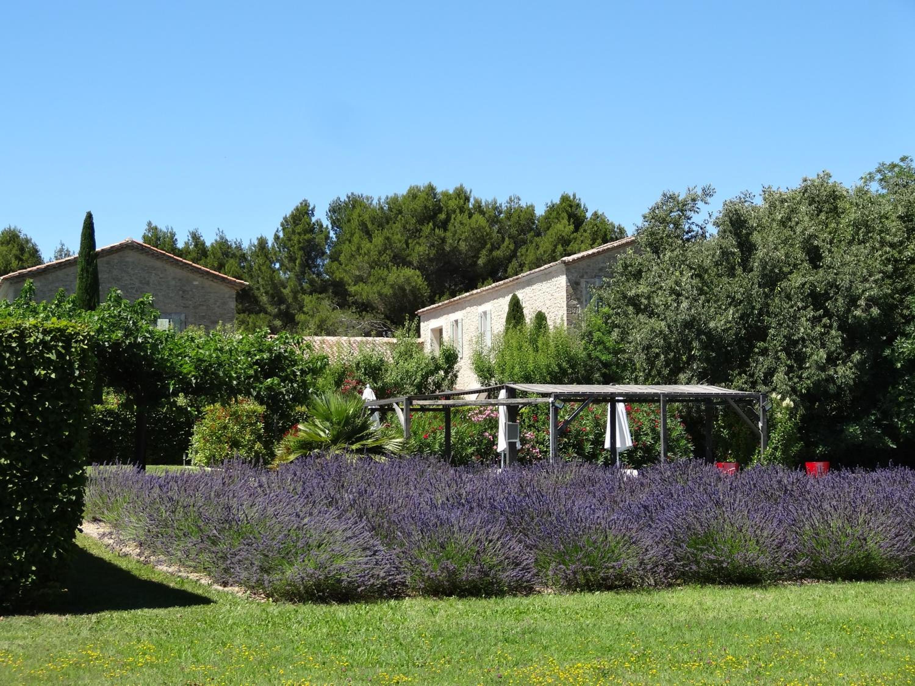 La Cour Des Sens