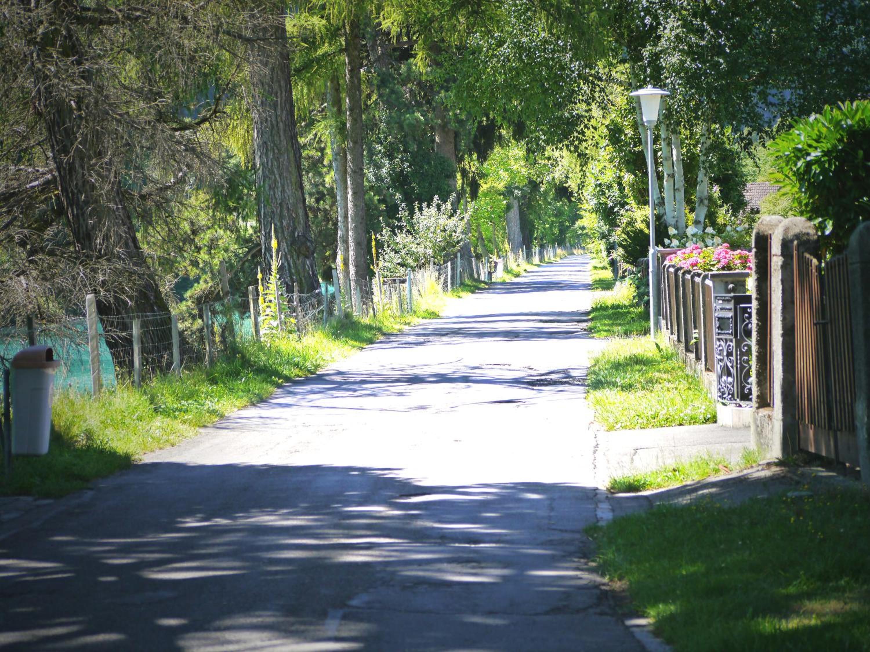 Photo 48