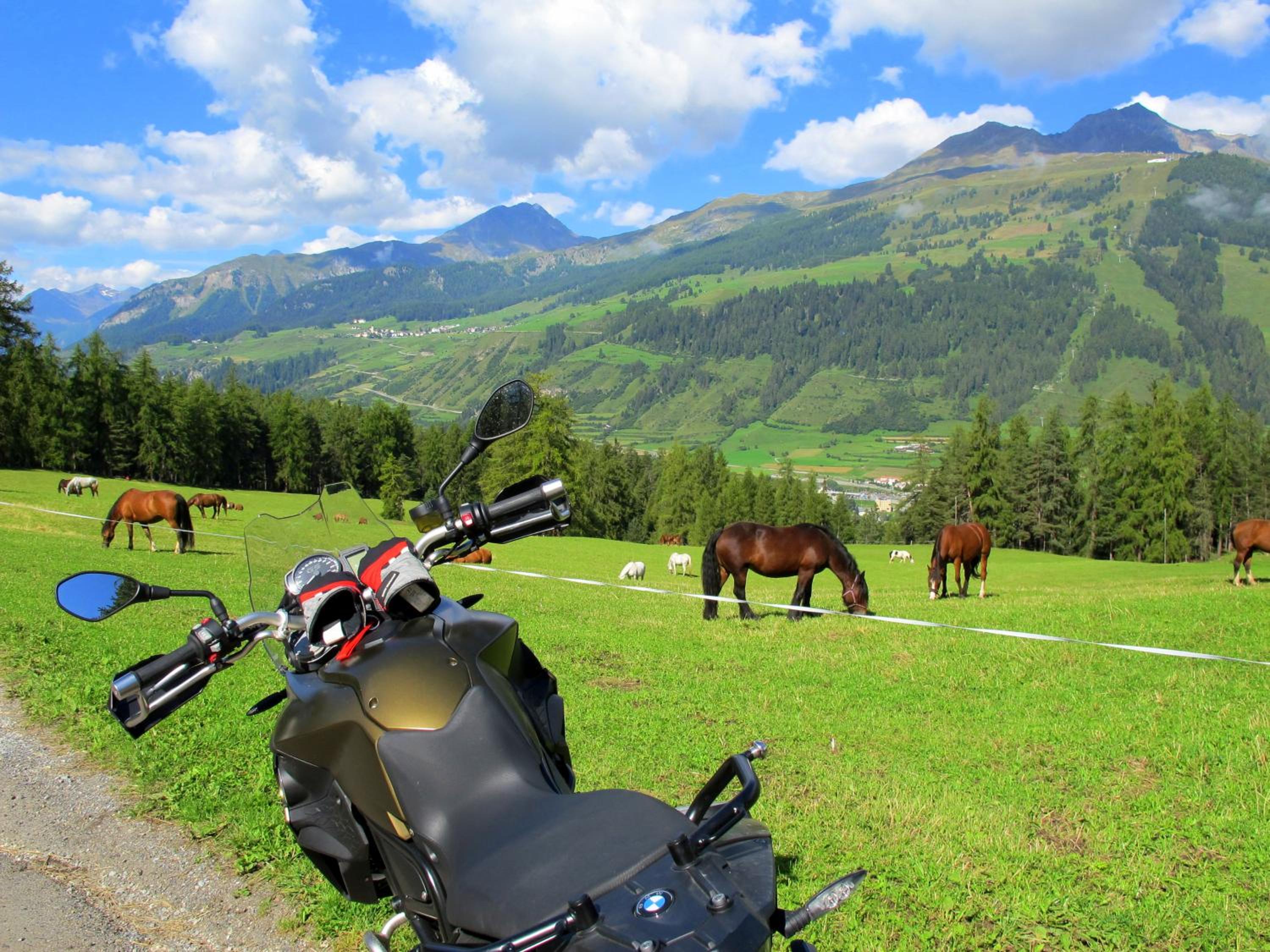 Engadin Lodge PREMIUM & PRIVATE