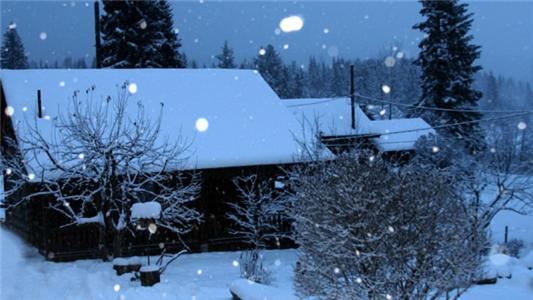 Nakiska Bear Ranch