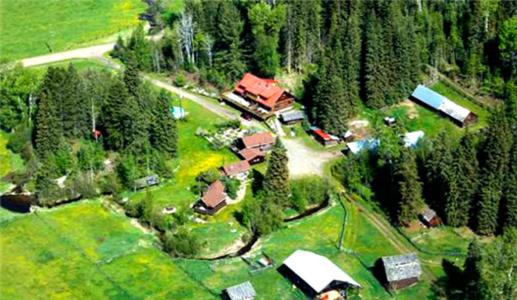 Nakiska Bear Ranch