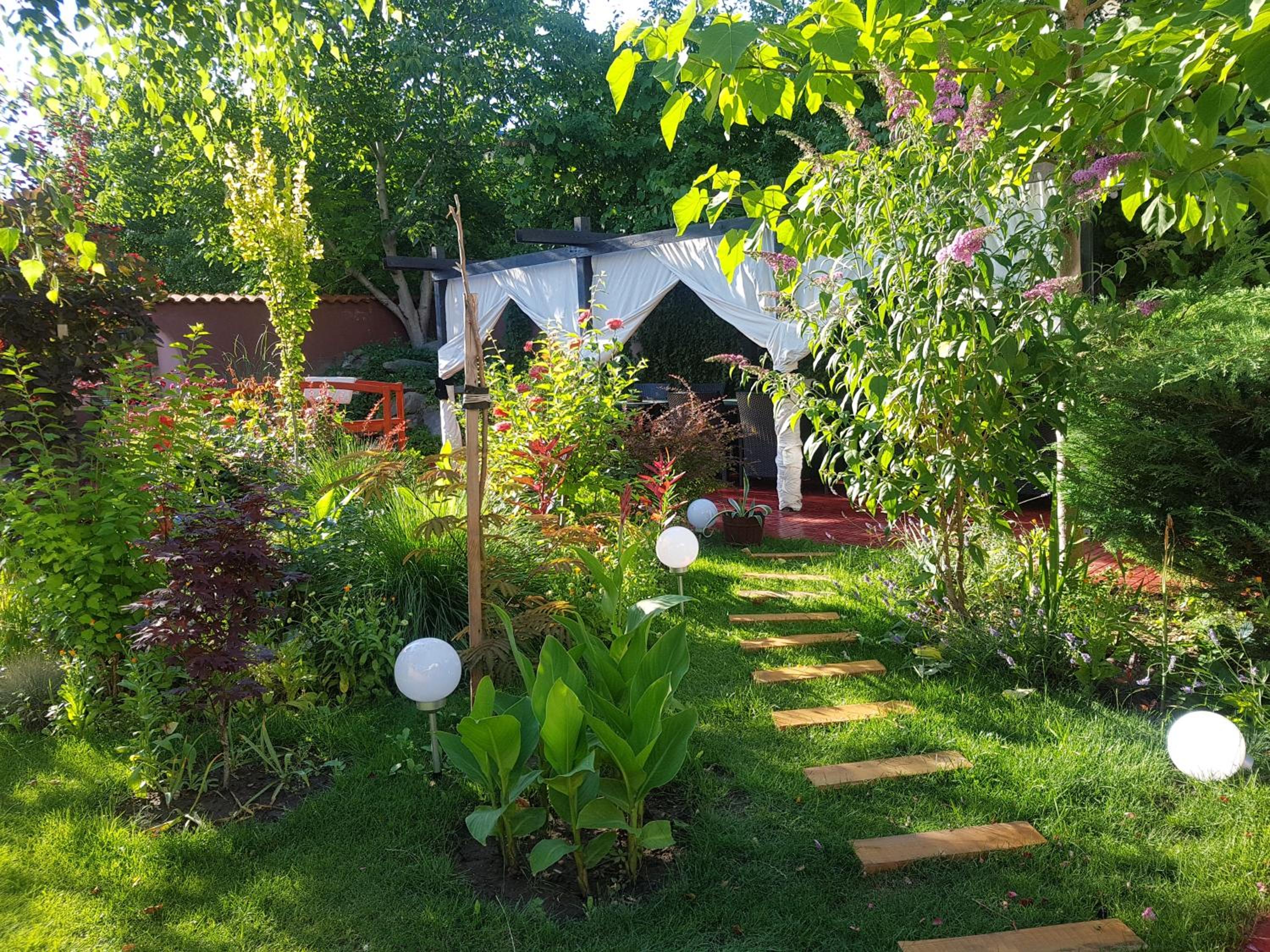 Photo 15