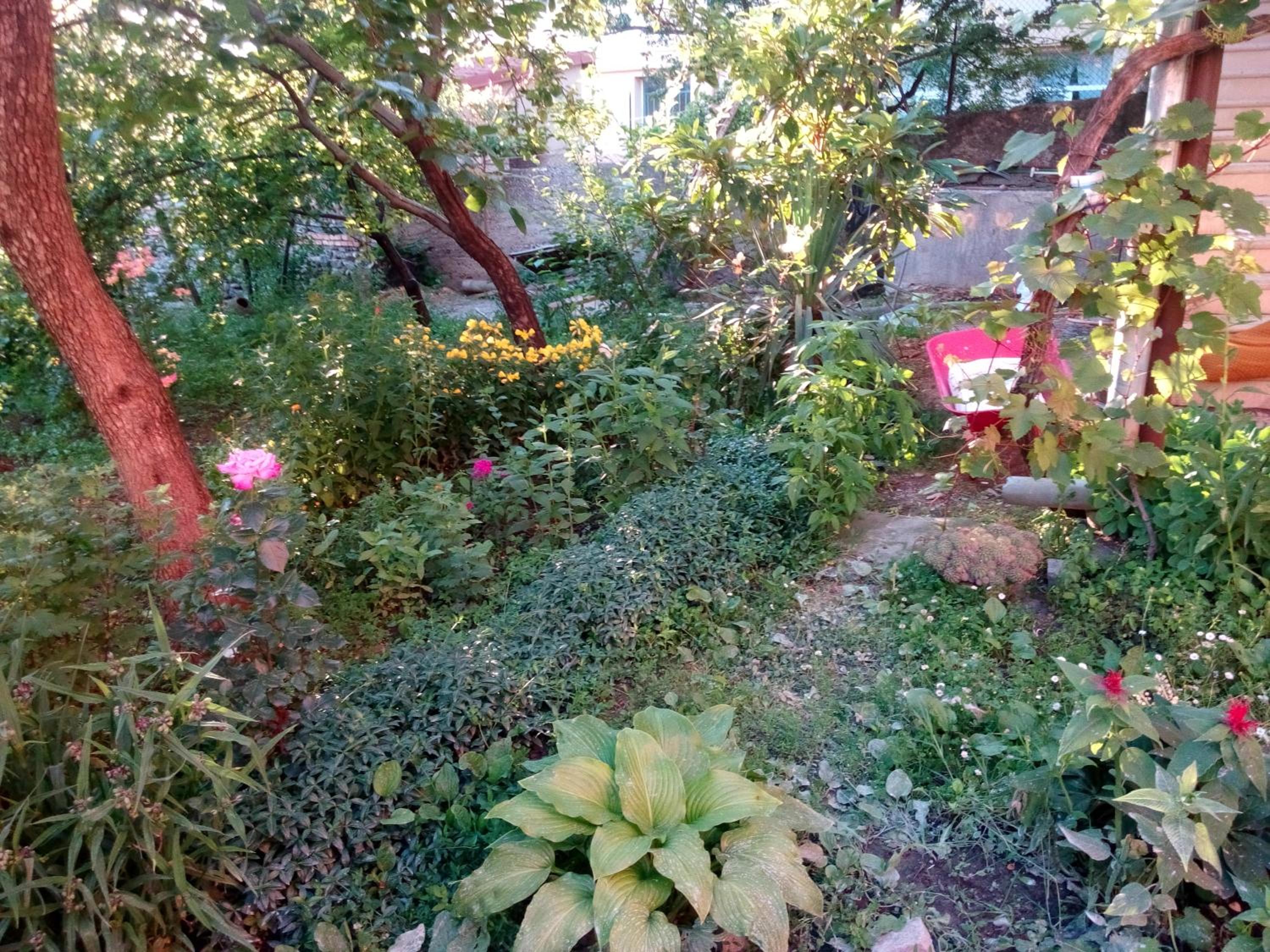 Photo 17