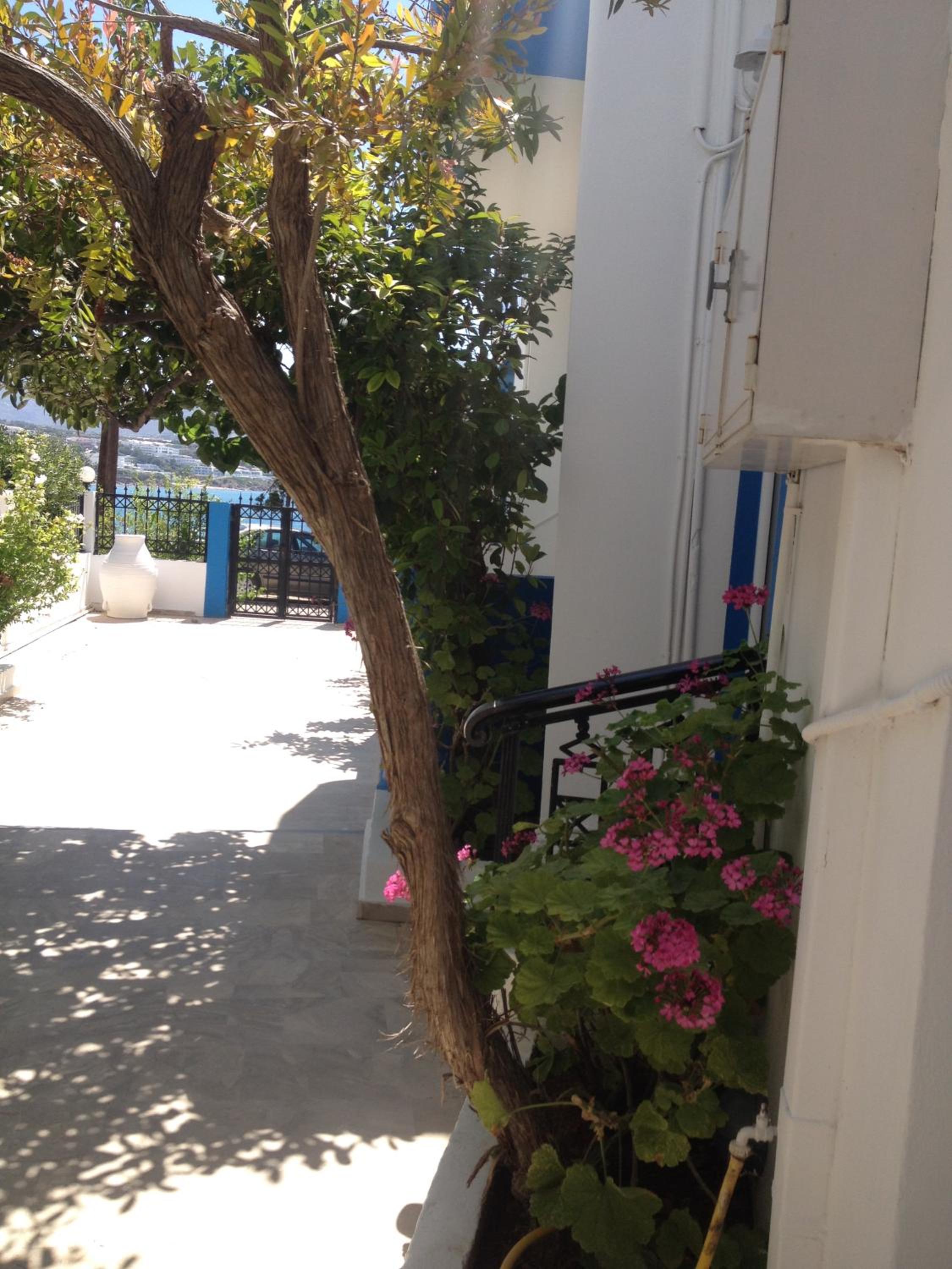 Photo 199