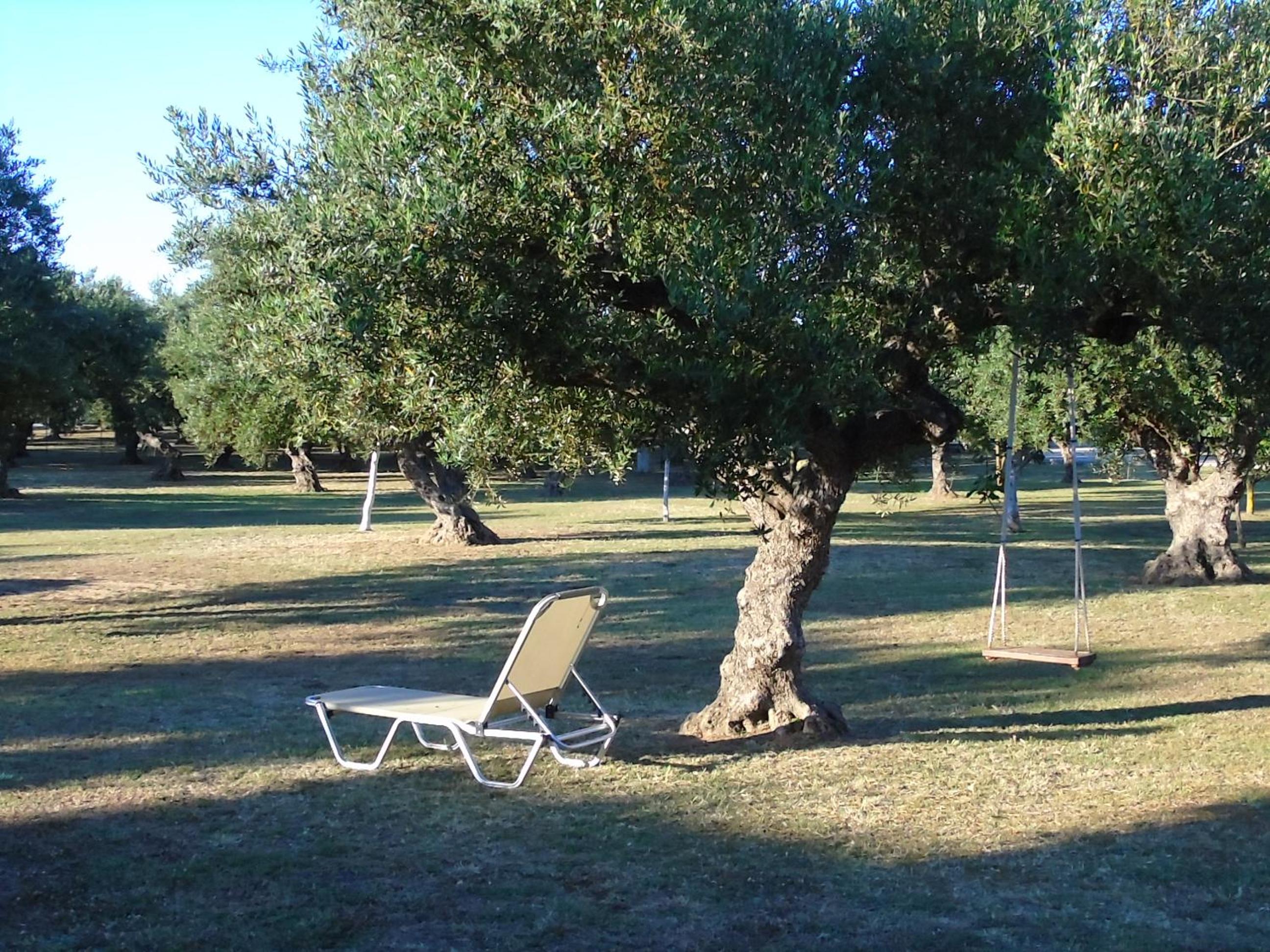 Photo 30