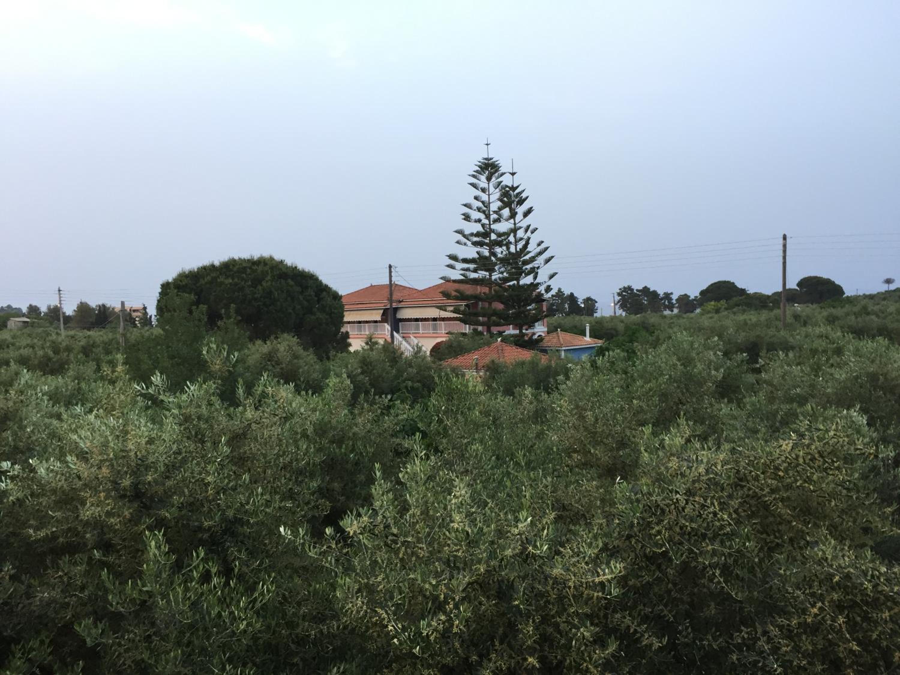 Photo 28