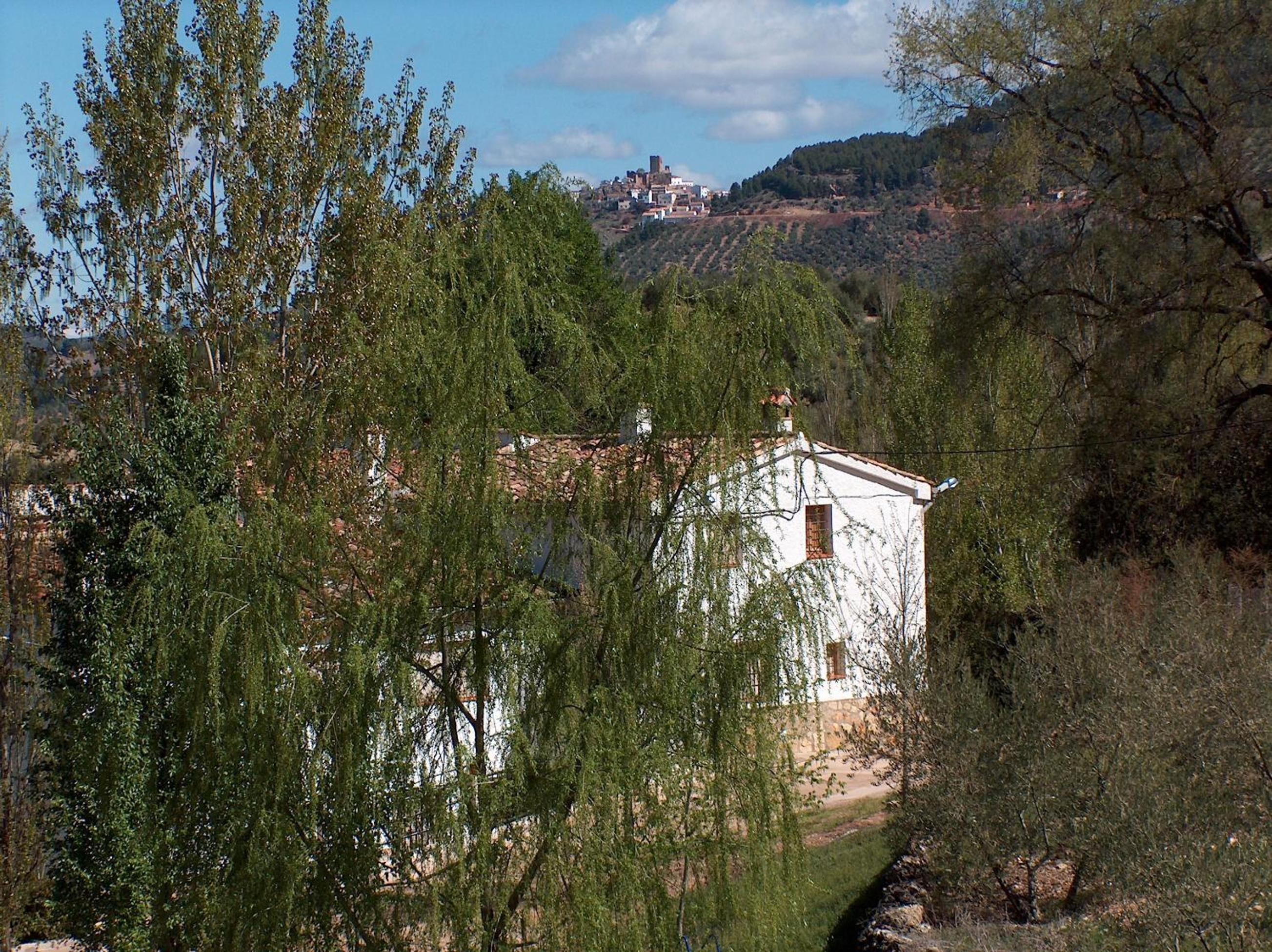 Photo 23