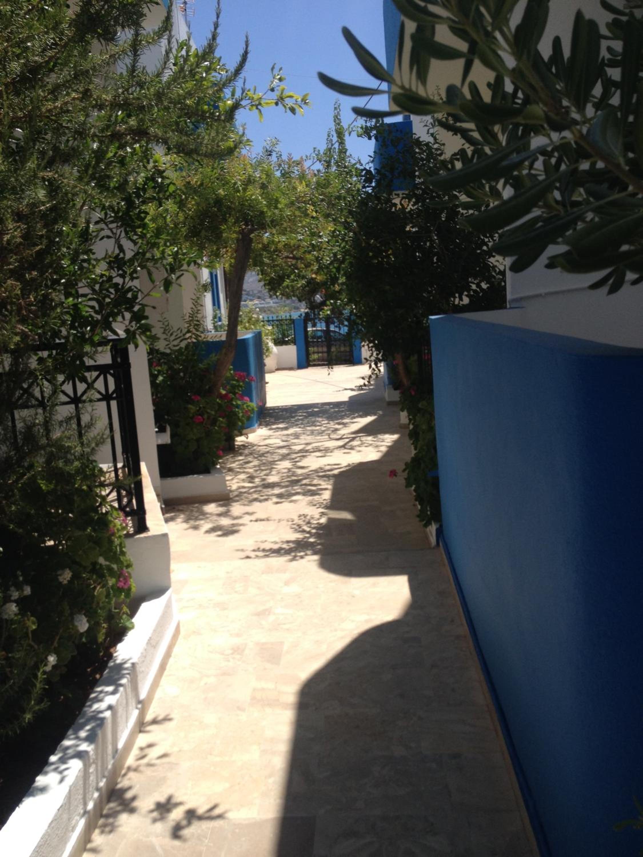 Photo 37