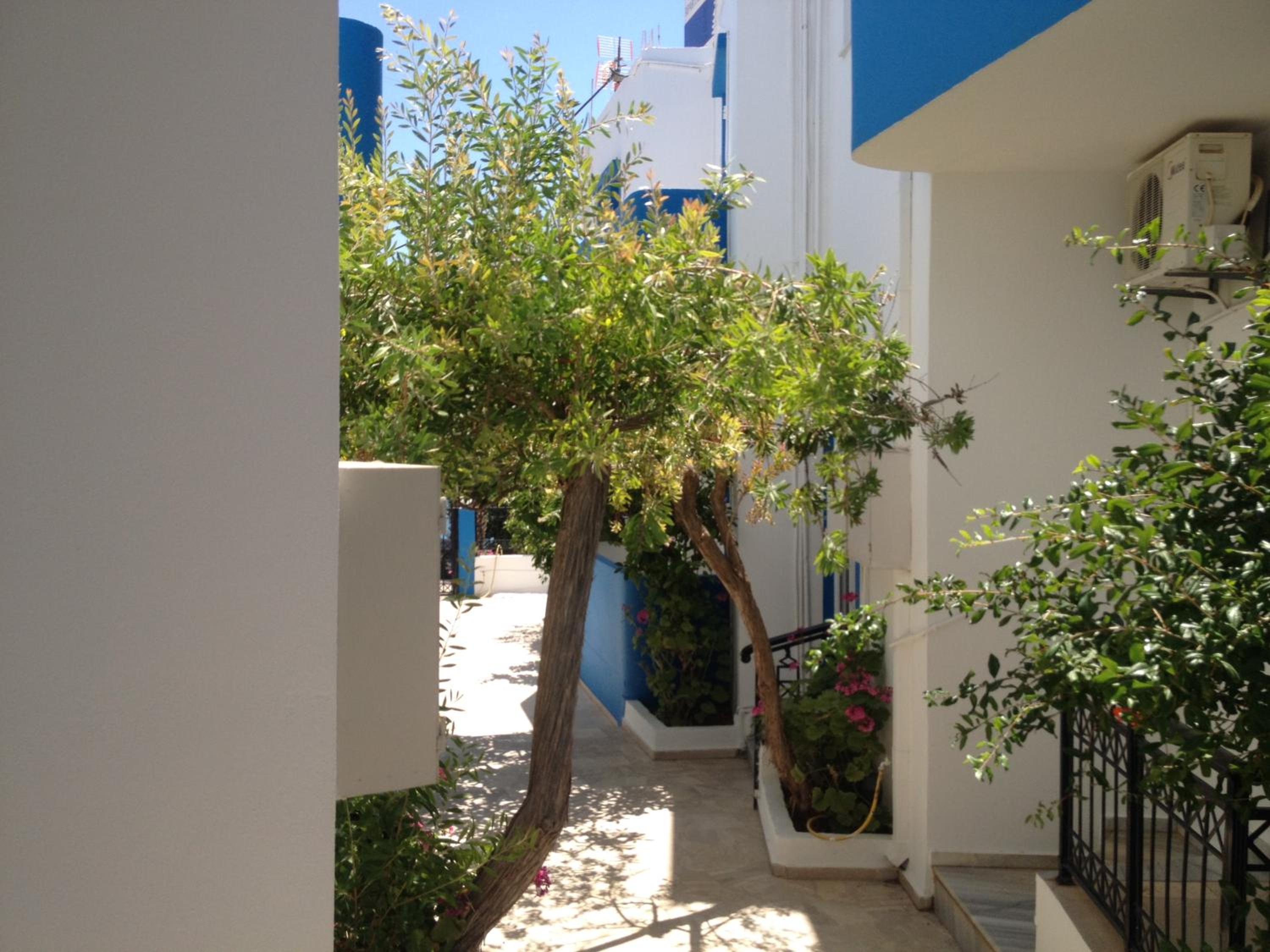 Photo 40