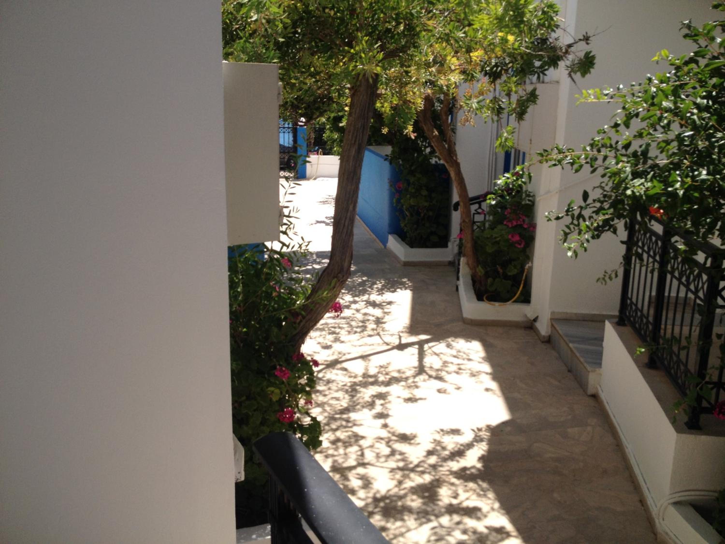 Photo 41