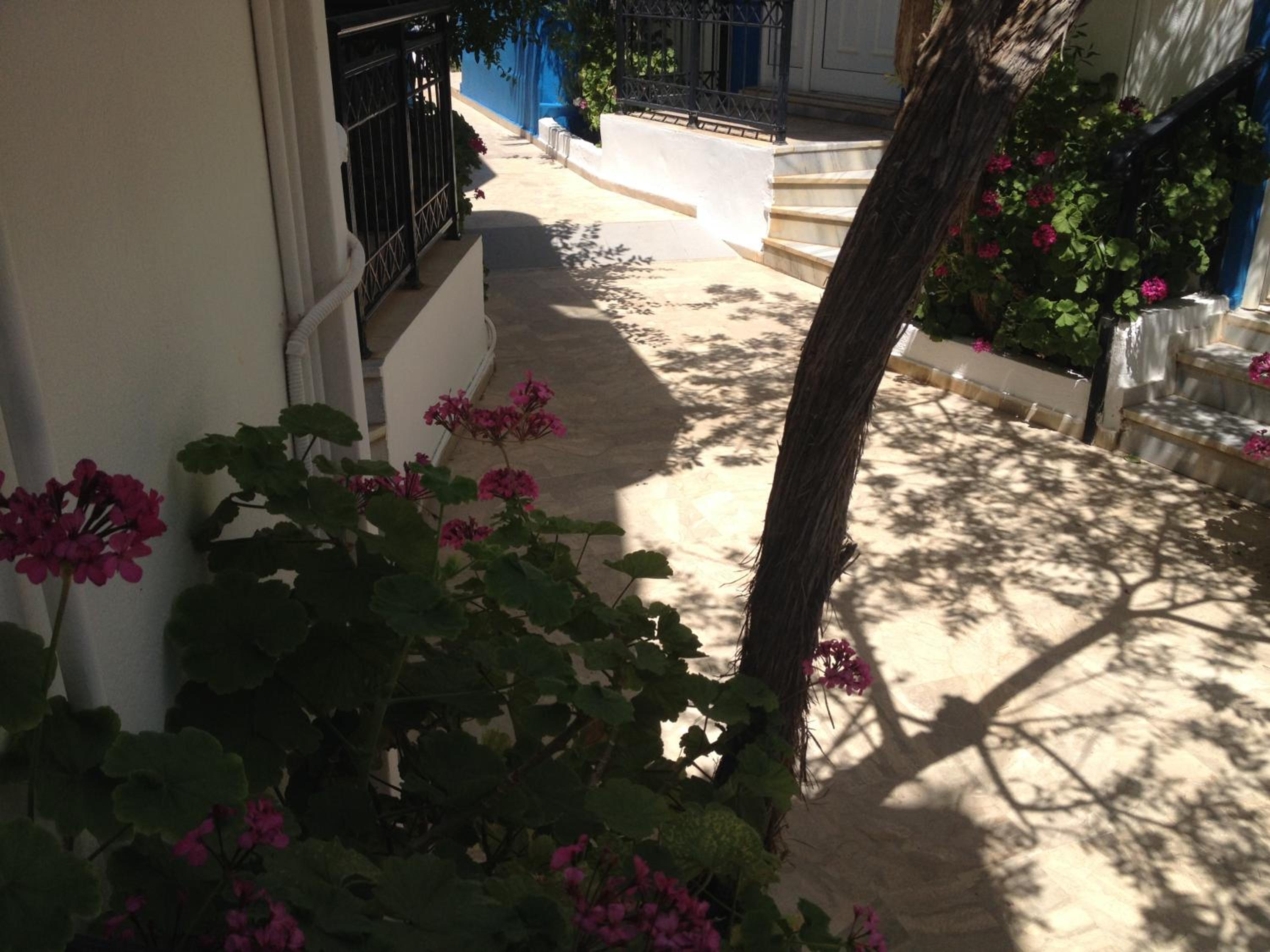 Photo 47