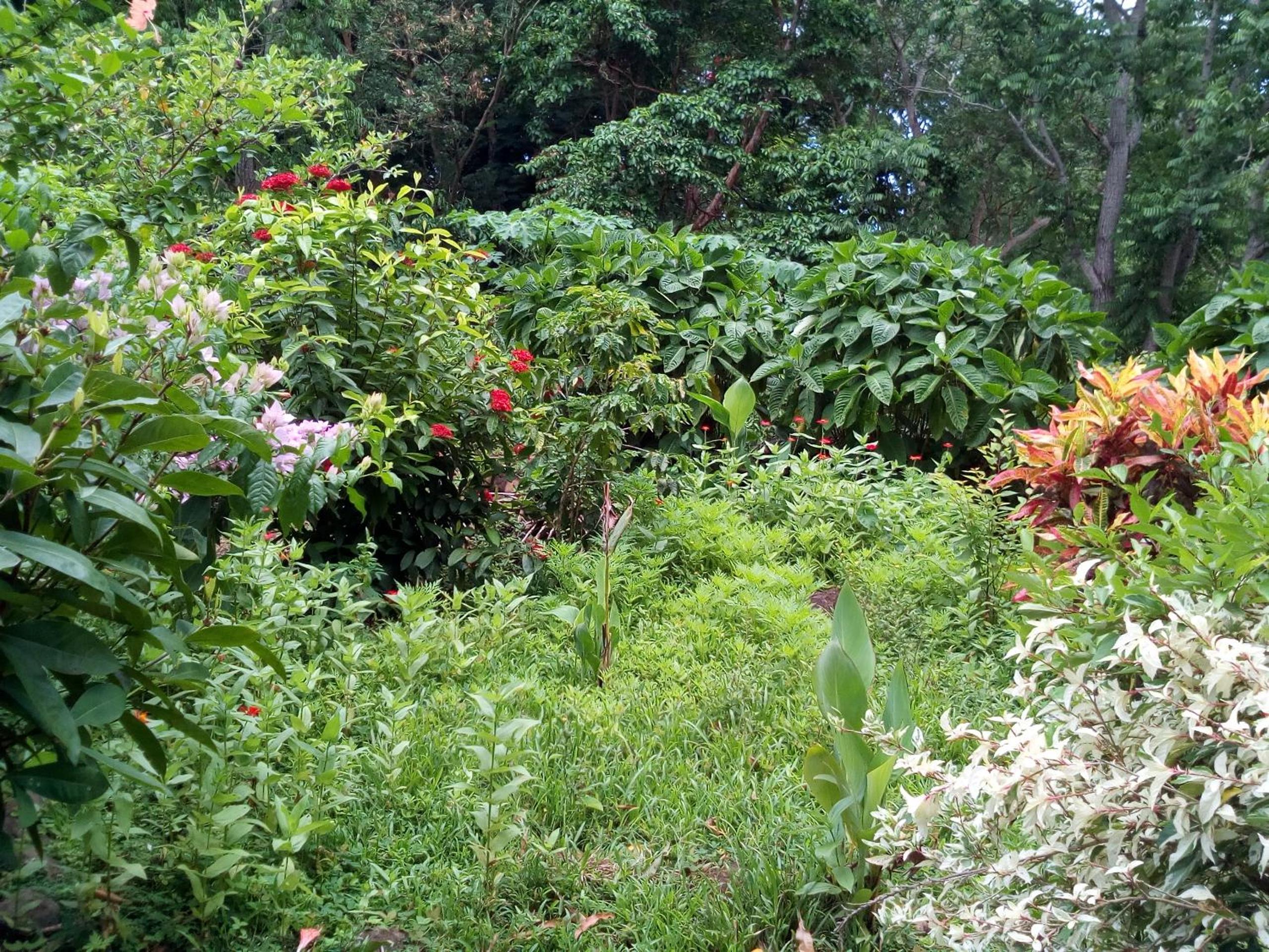 Photo 45