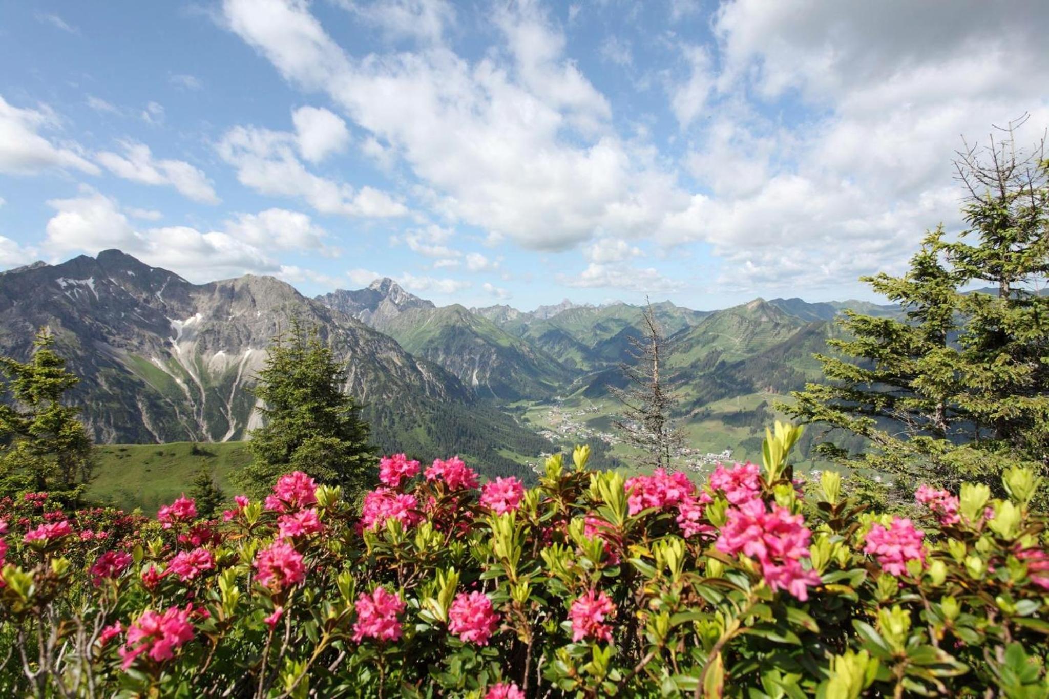 Haus Alpenecho