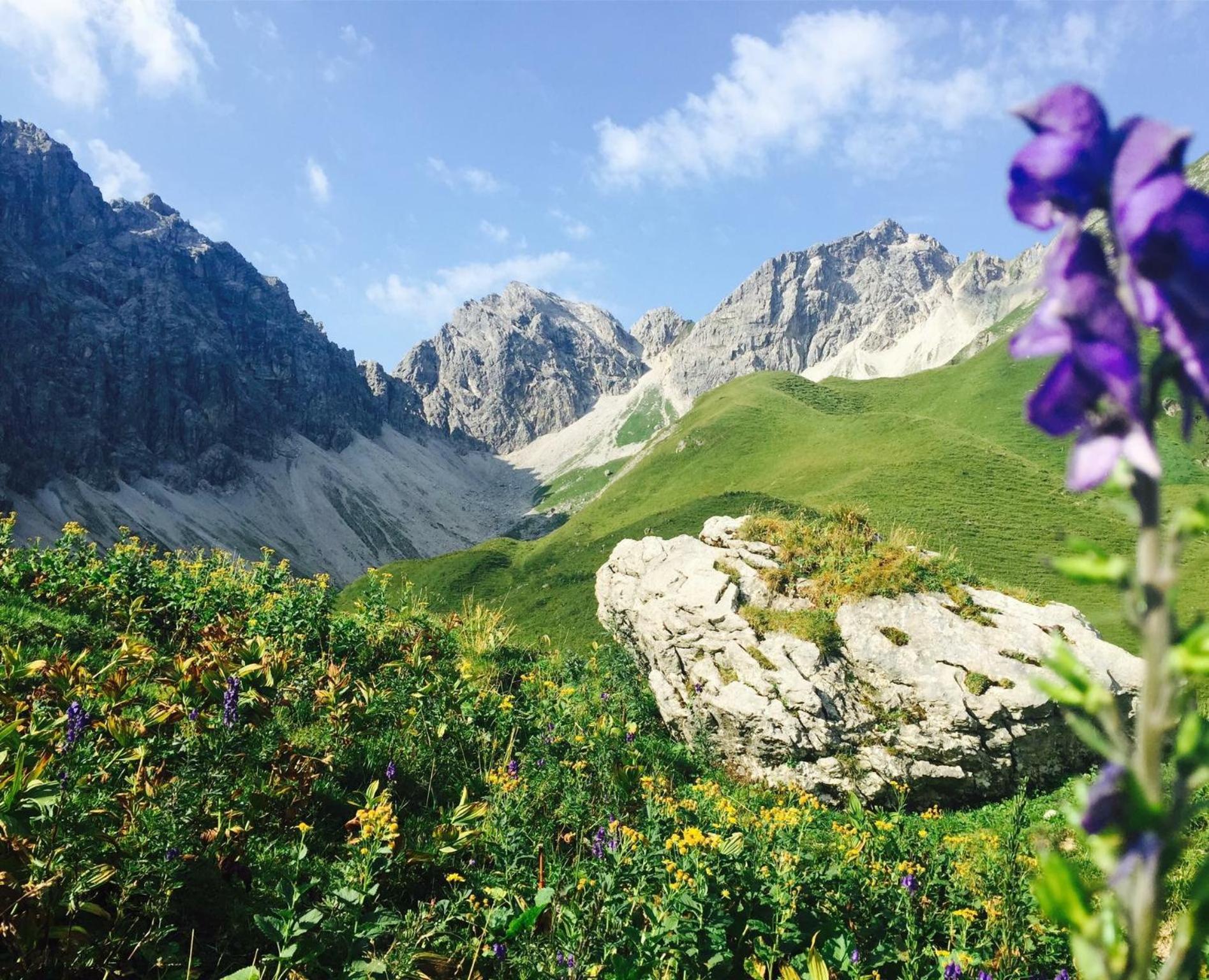 Haus Alpenecho
