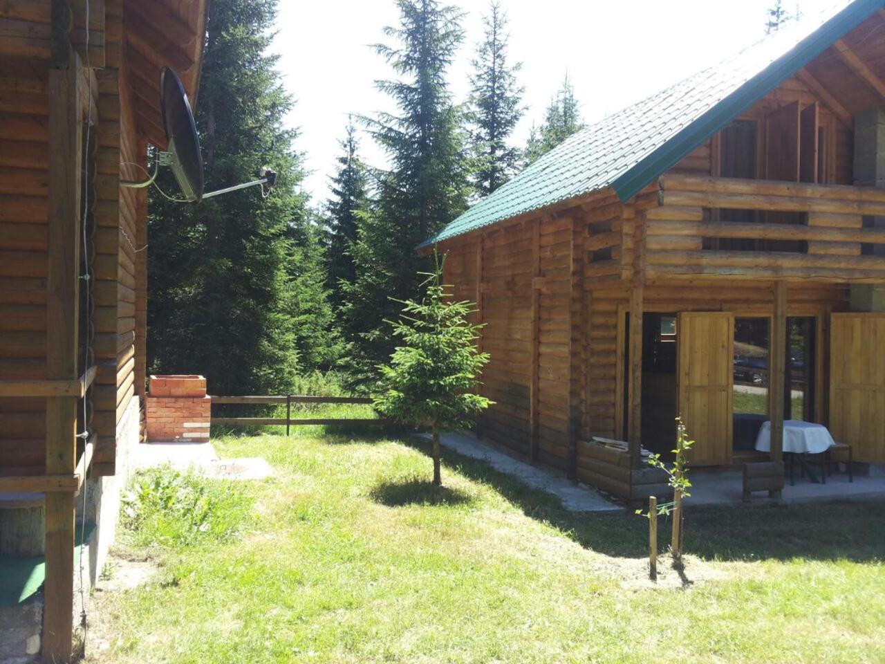 Photo 21
