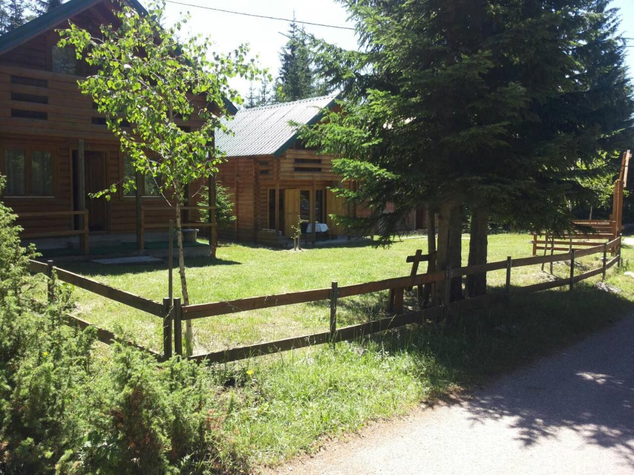 Photo 20