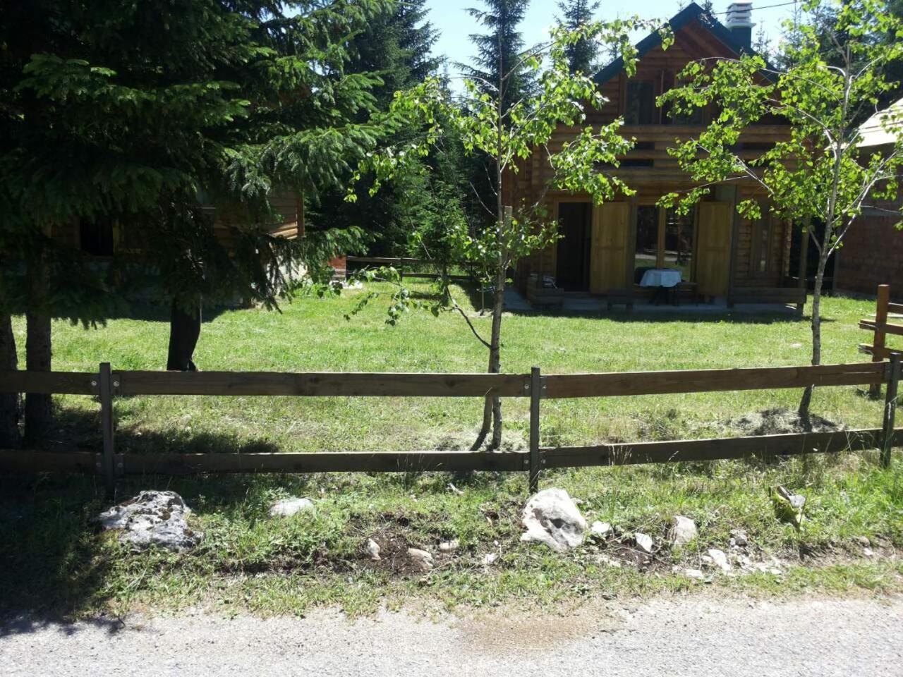 Photo 19
