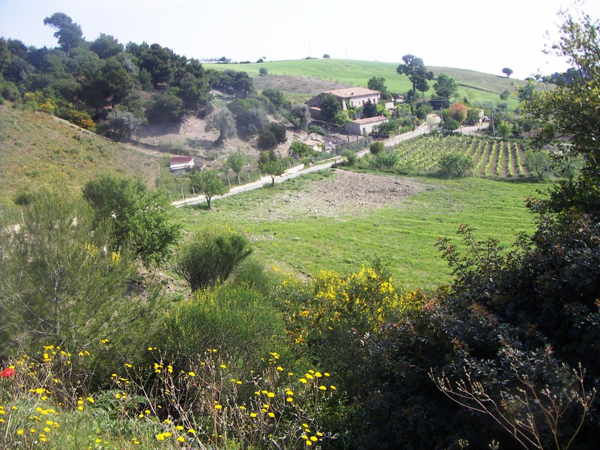 Agriturismo Masseria Tufaro view 2