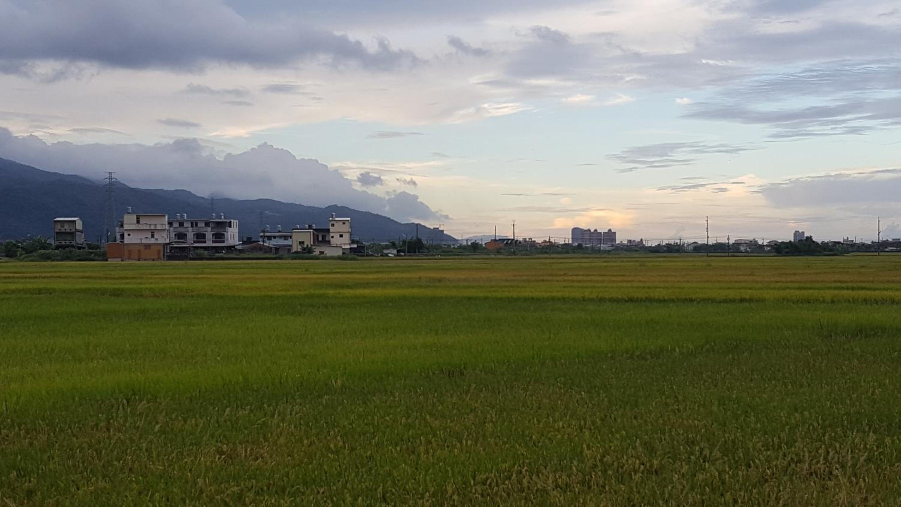 Bai Yun Ge Homestay