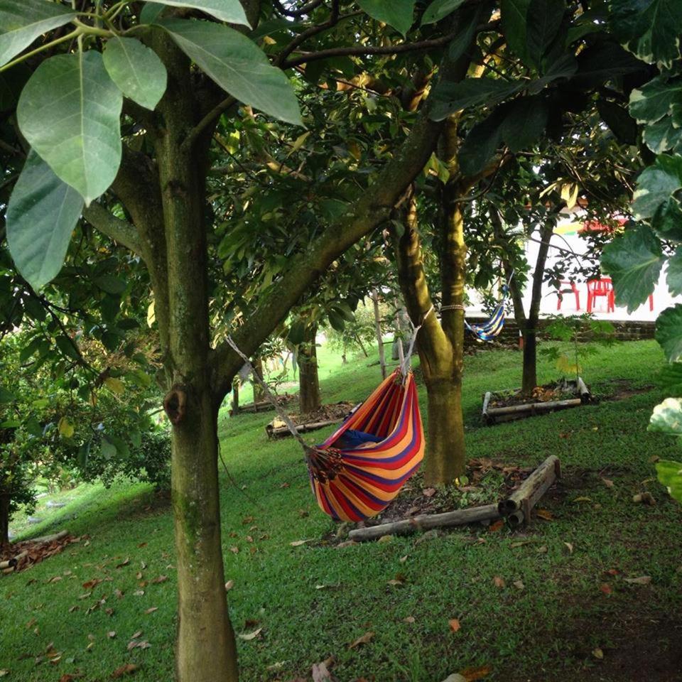 Finca El Bazar