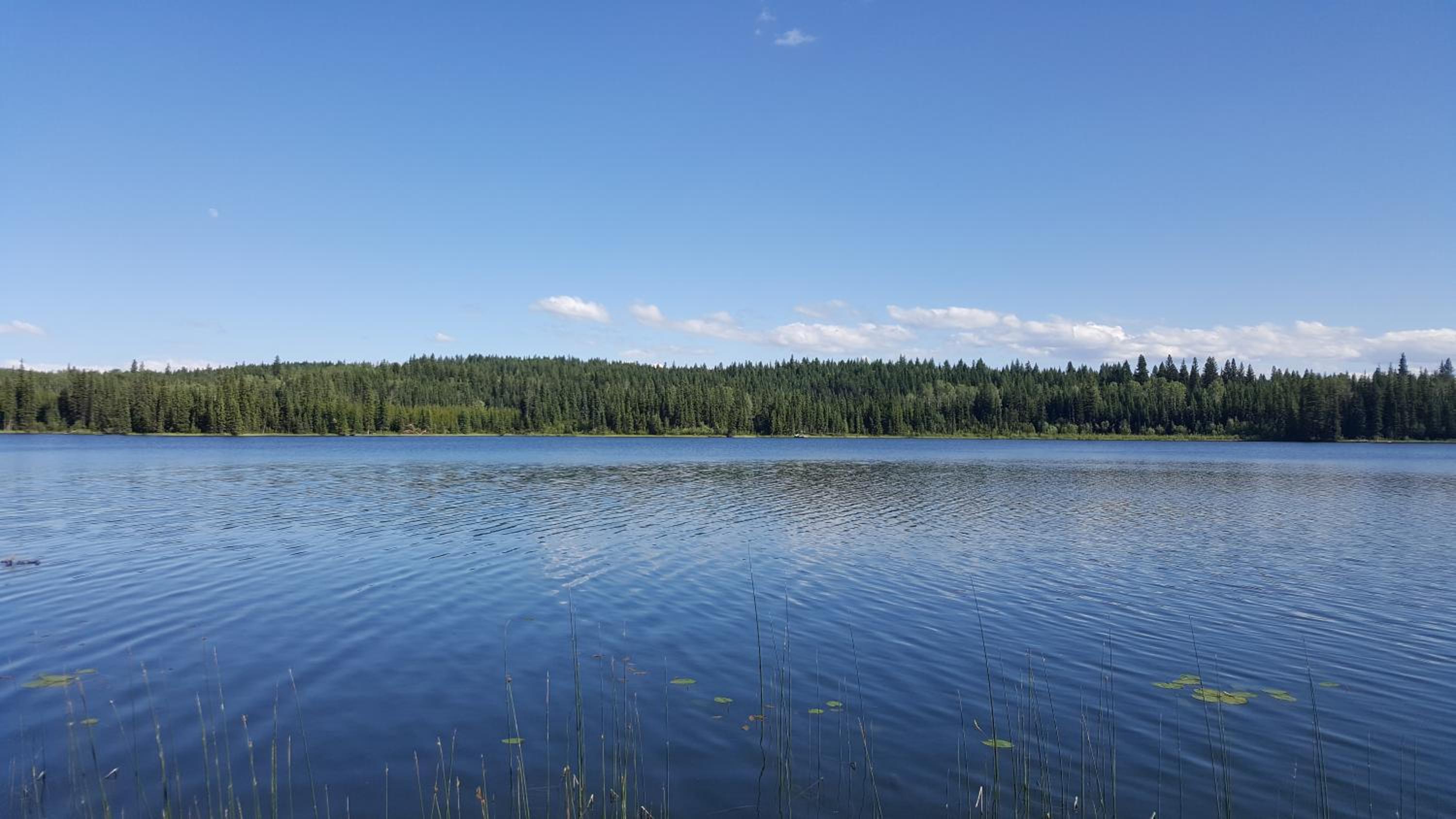 Wettstone Guest Ranch