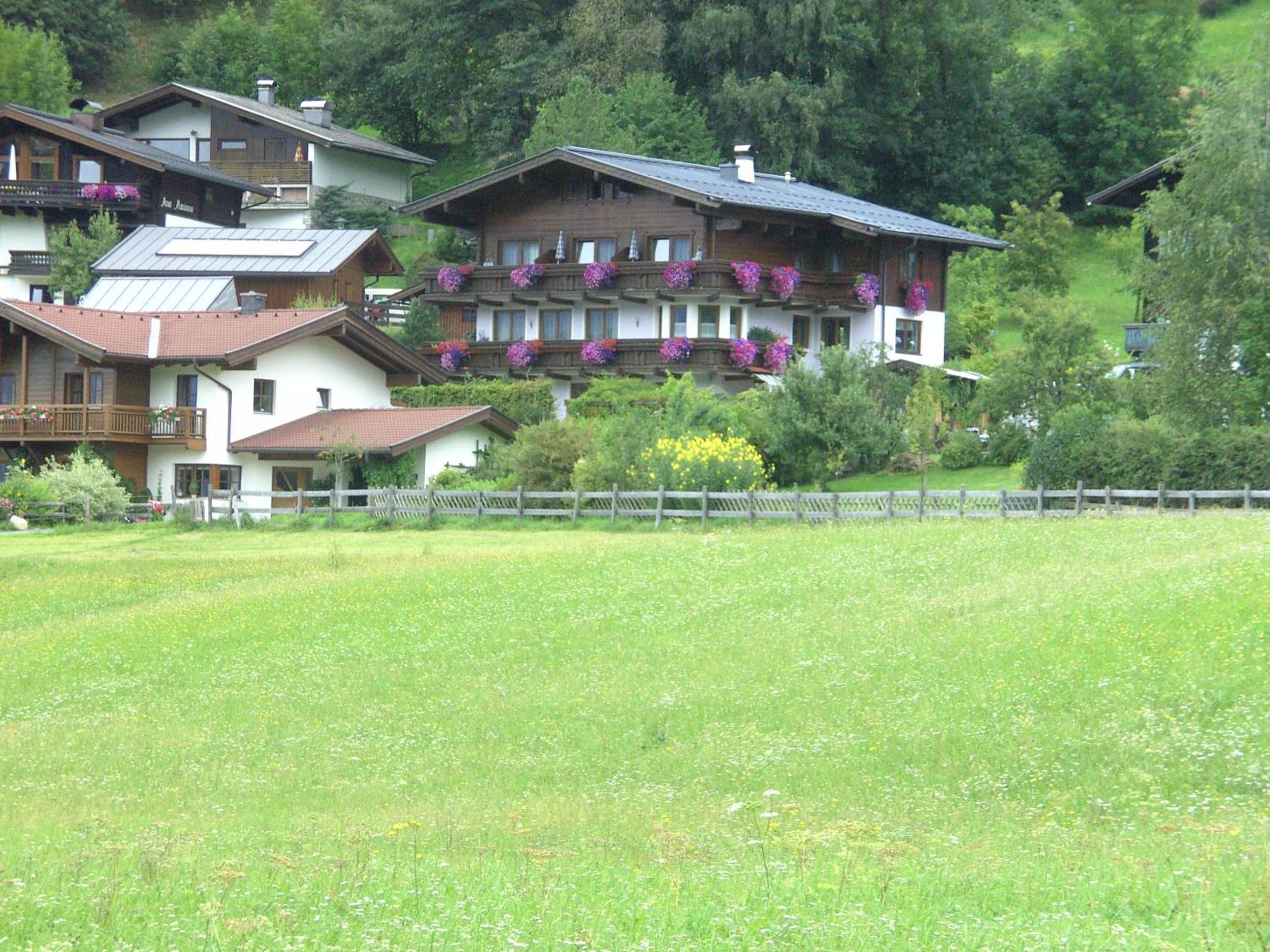 Rosi`s