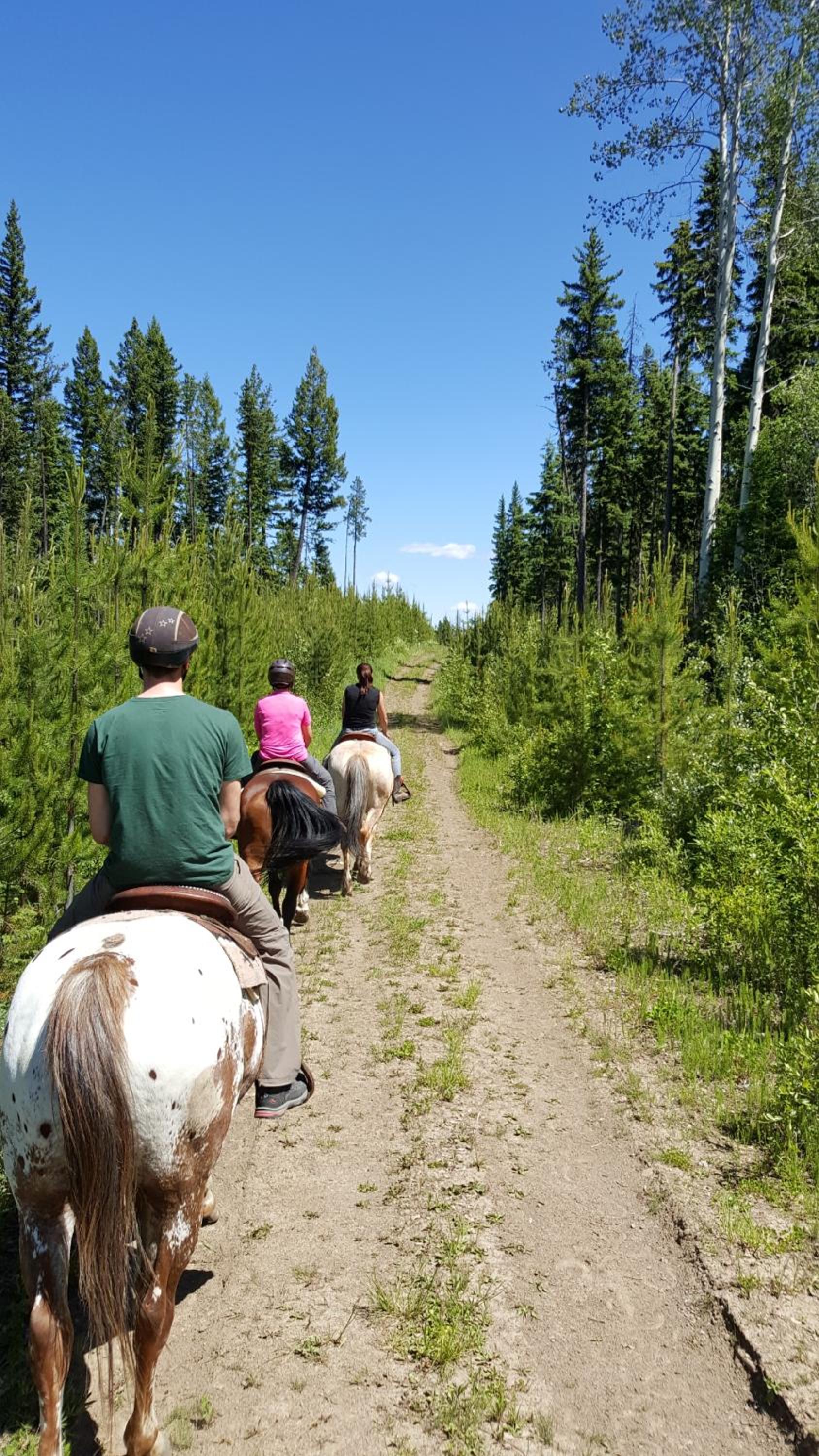Wettstone Guest Ranch