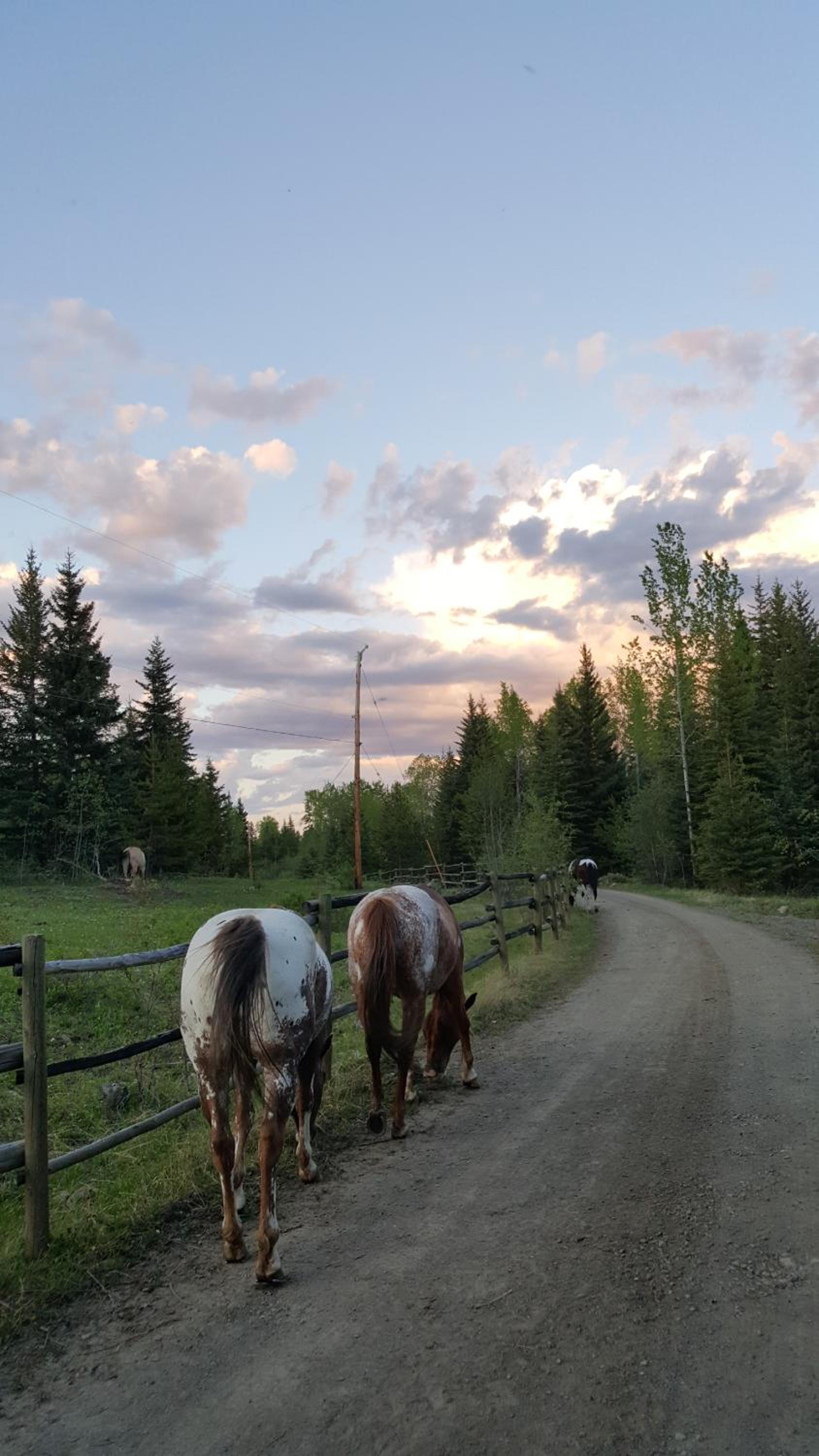Wettstone Guest Ranch