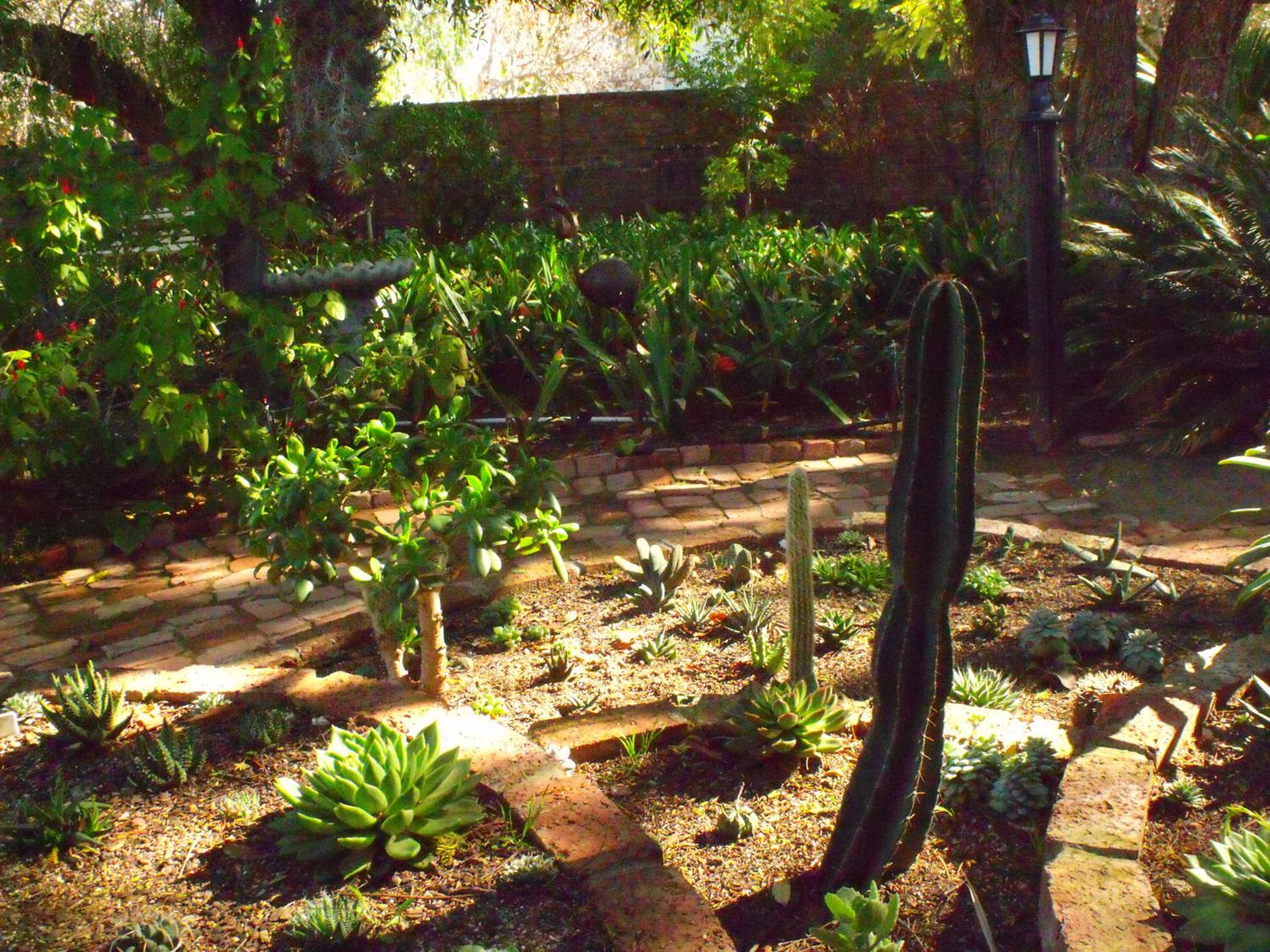 Photo 42