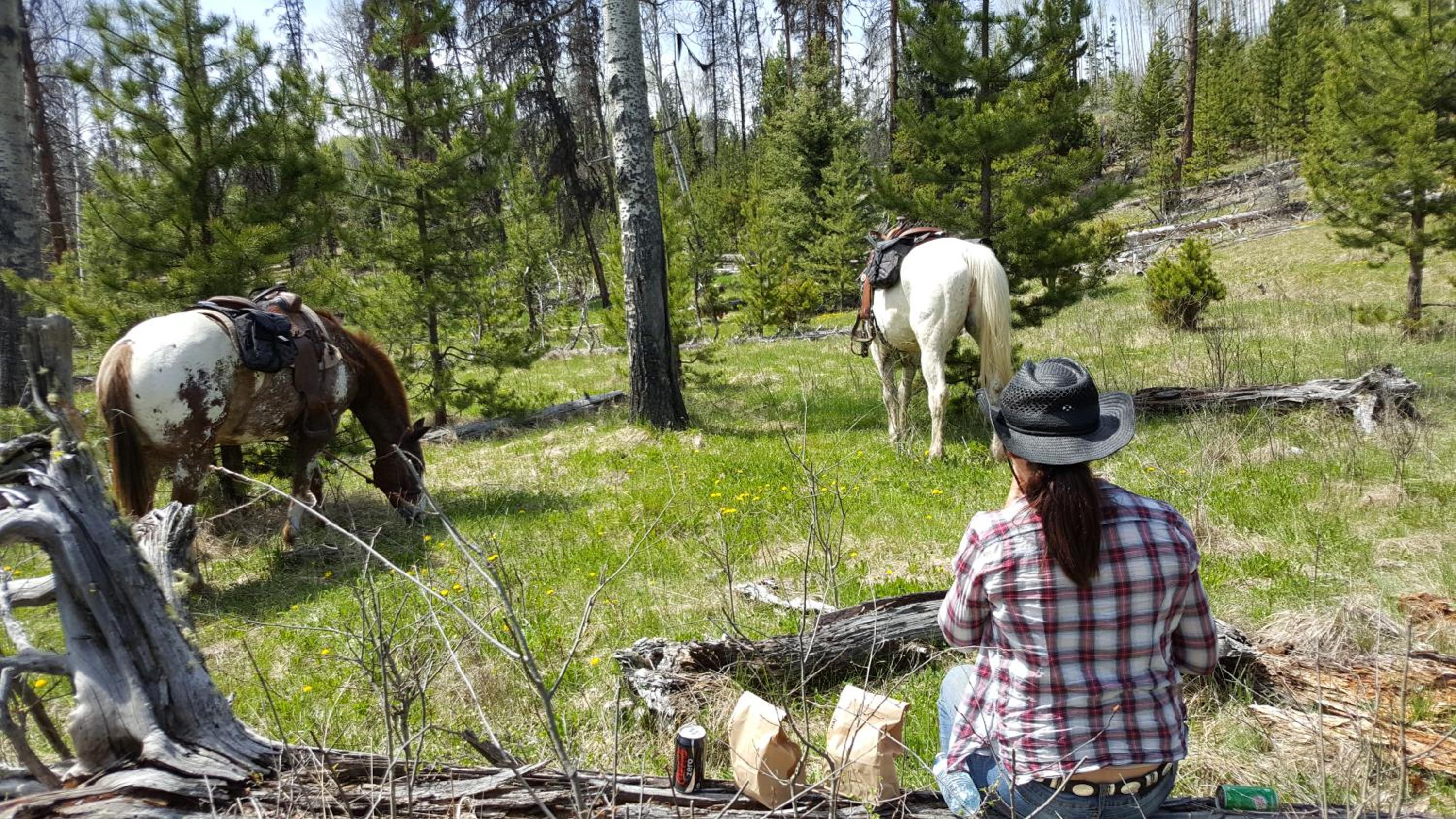 Wettstone Guest Ranch