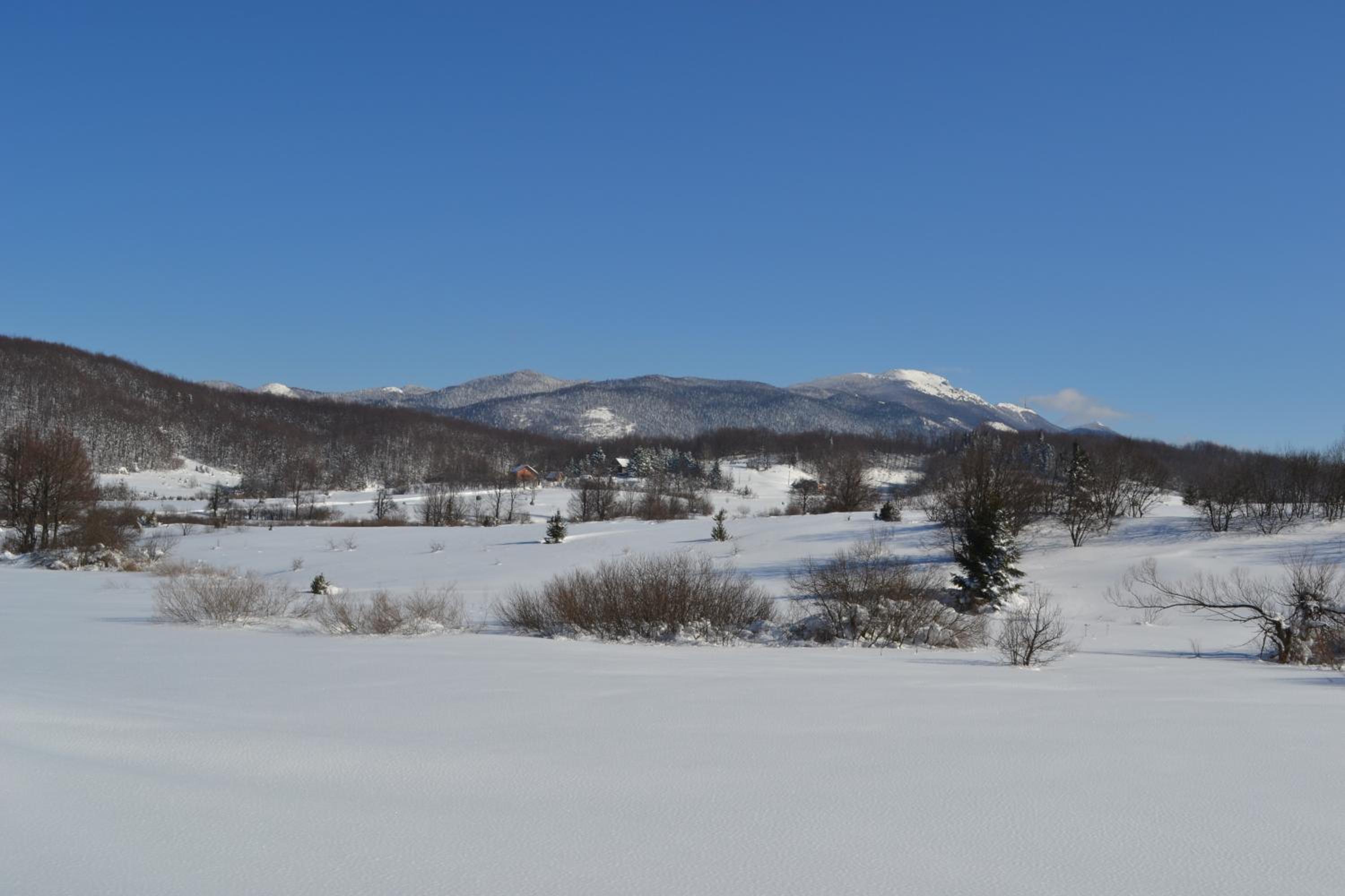 Photo 43
