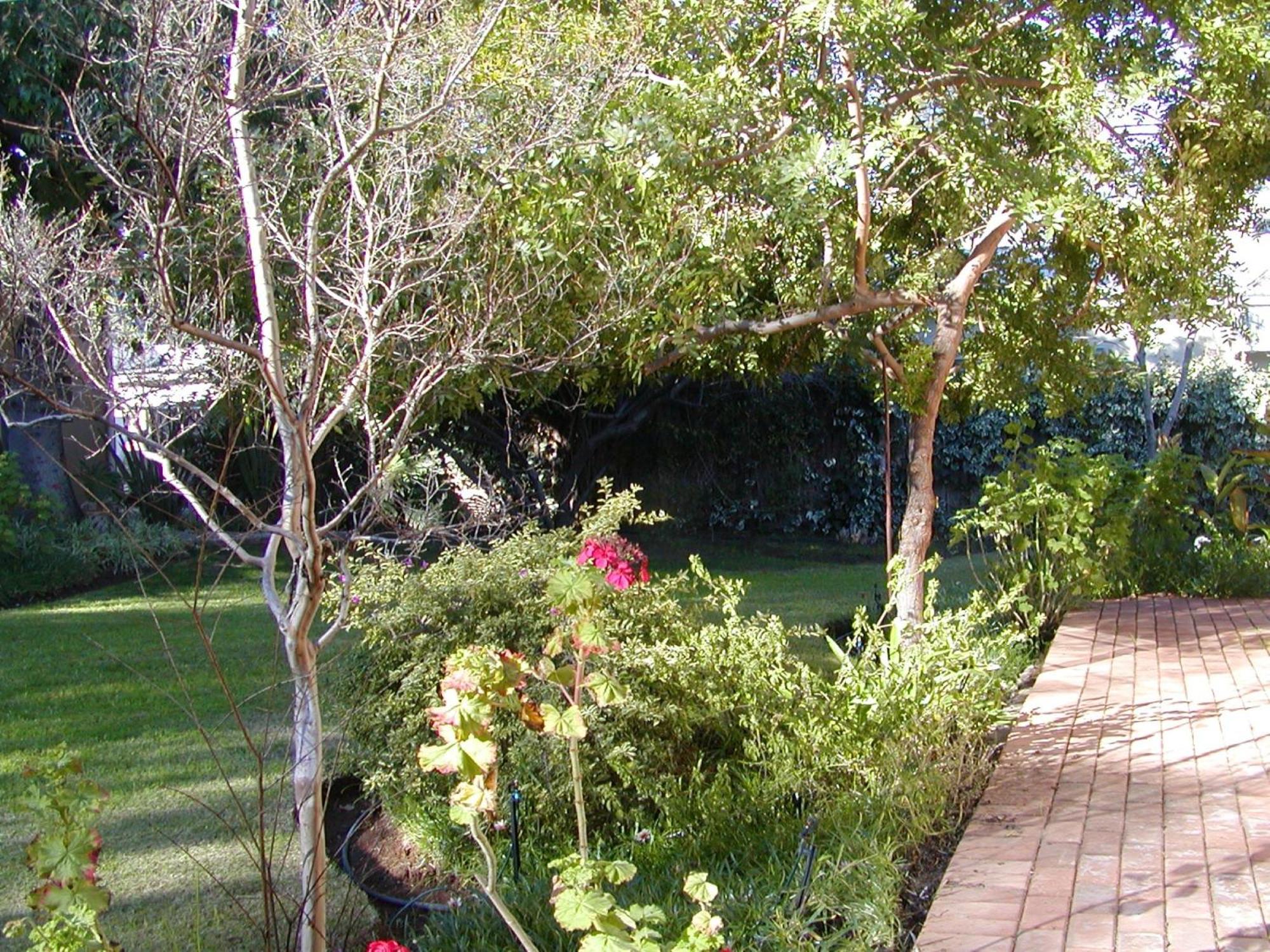 Photo 34