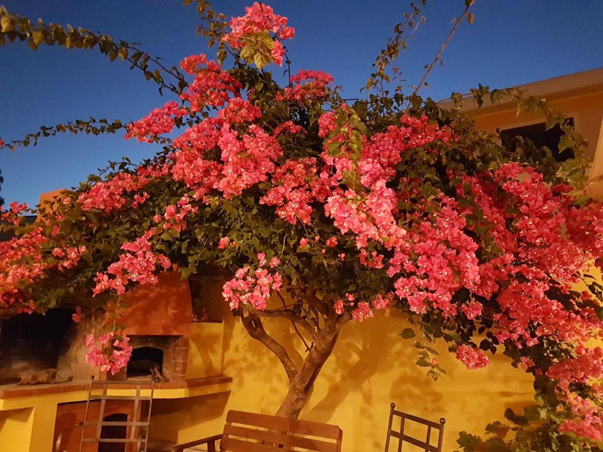 B&B Il Piccolo Giardino