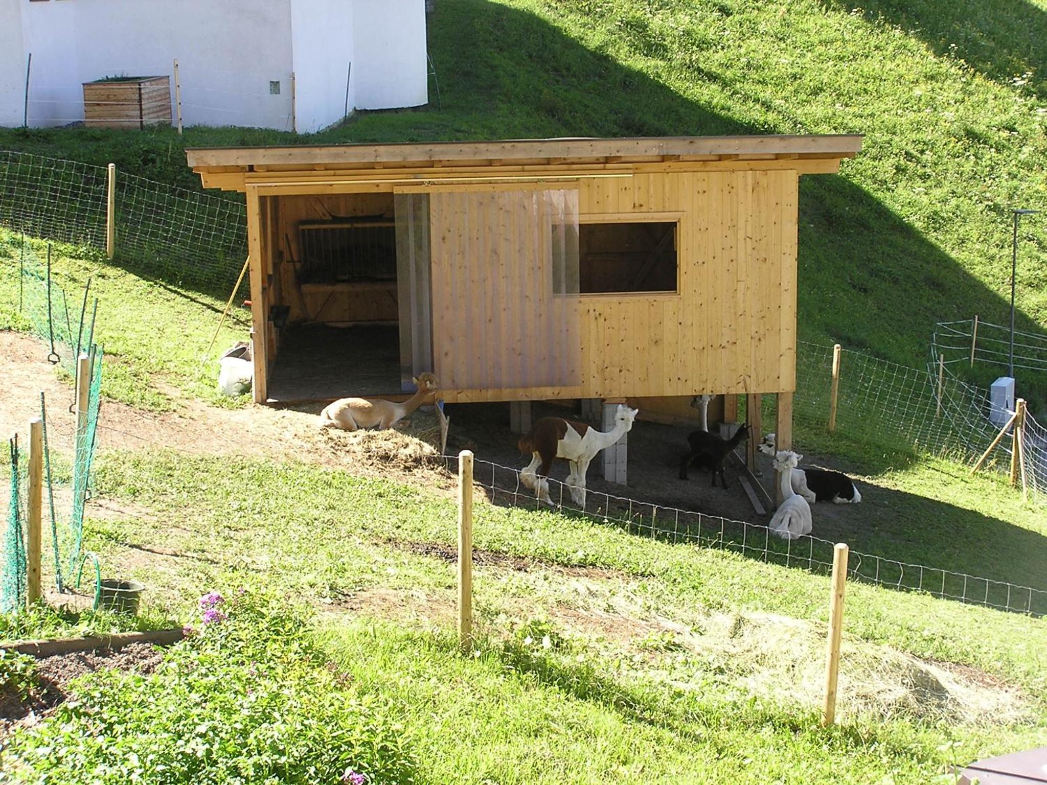 Photo 26
