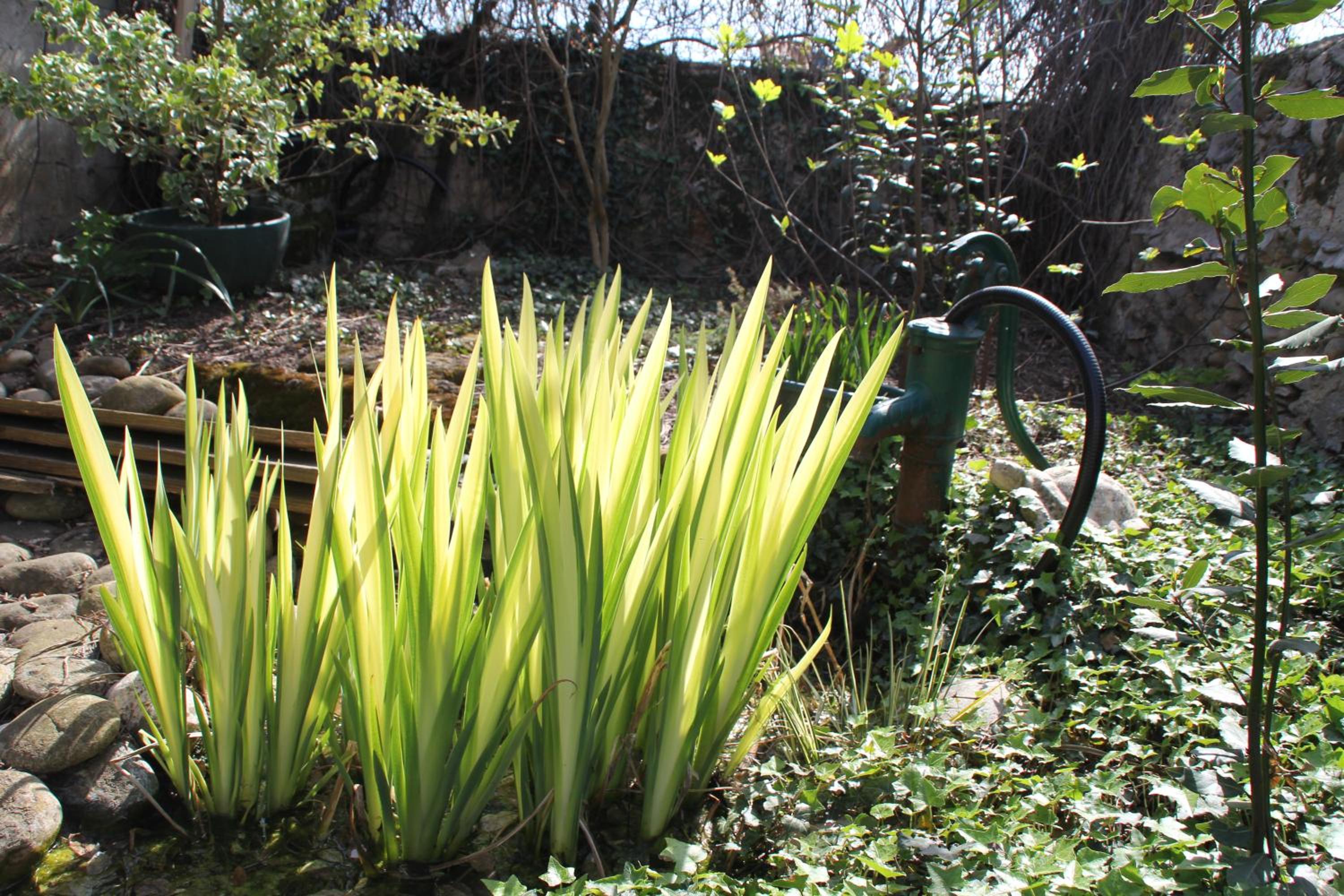 Photo 27