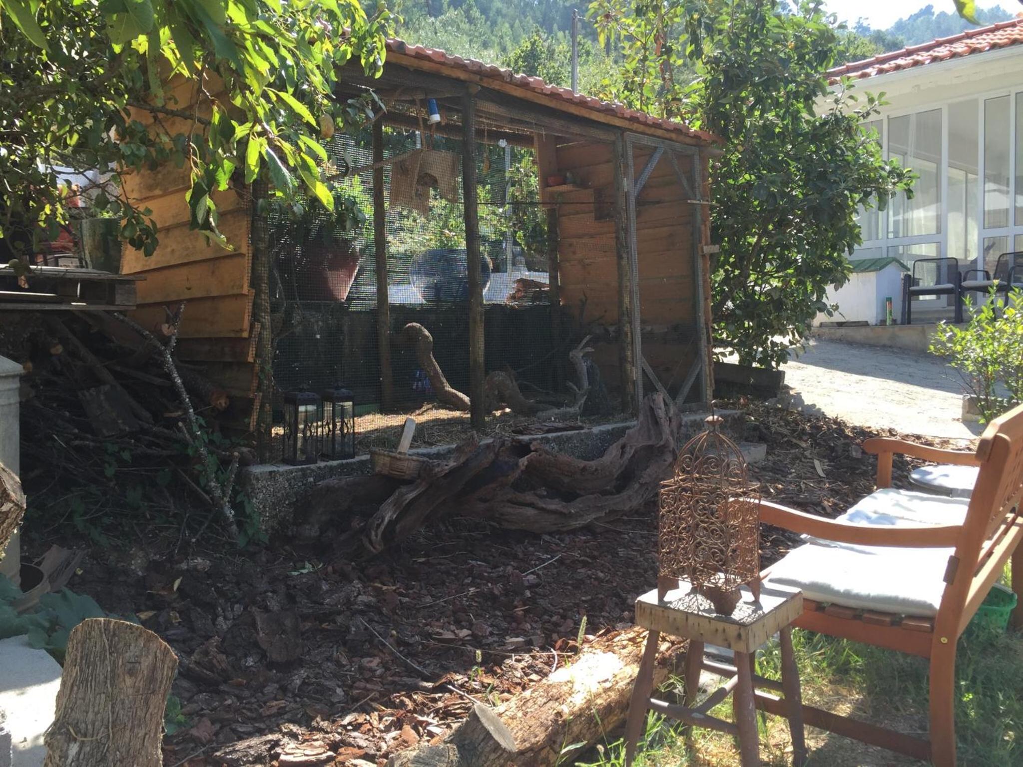 Casa Traca, photo 55