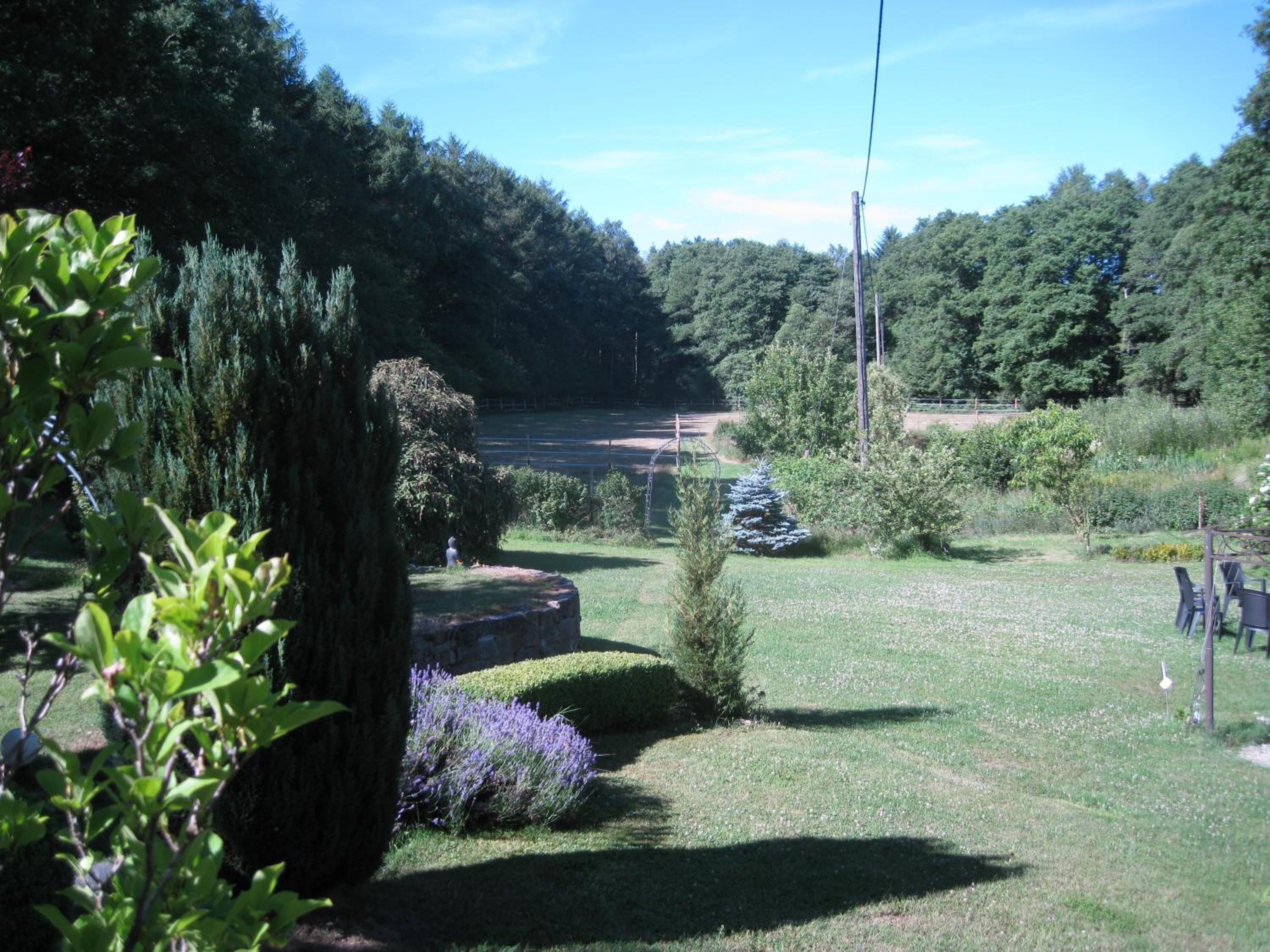 Photo 29