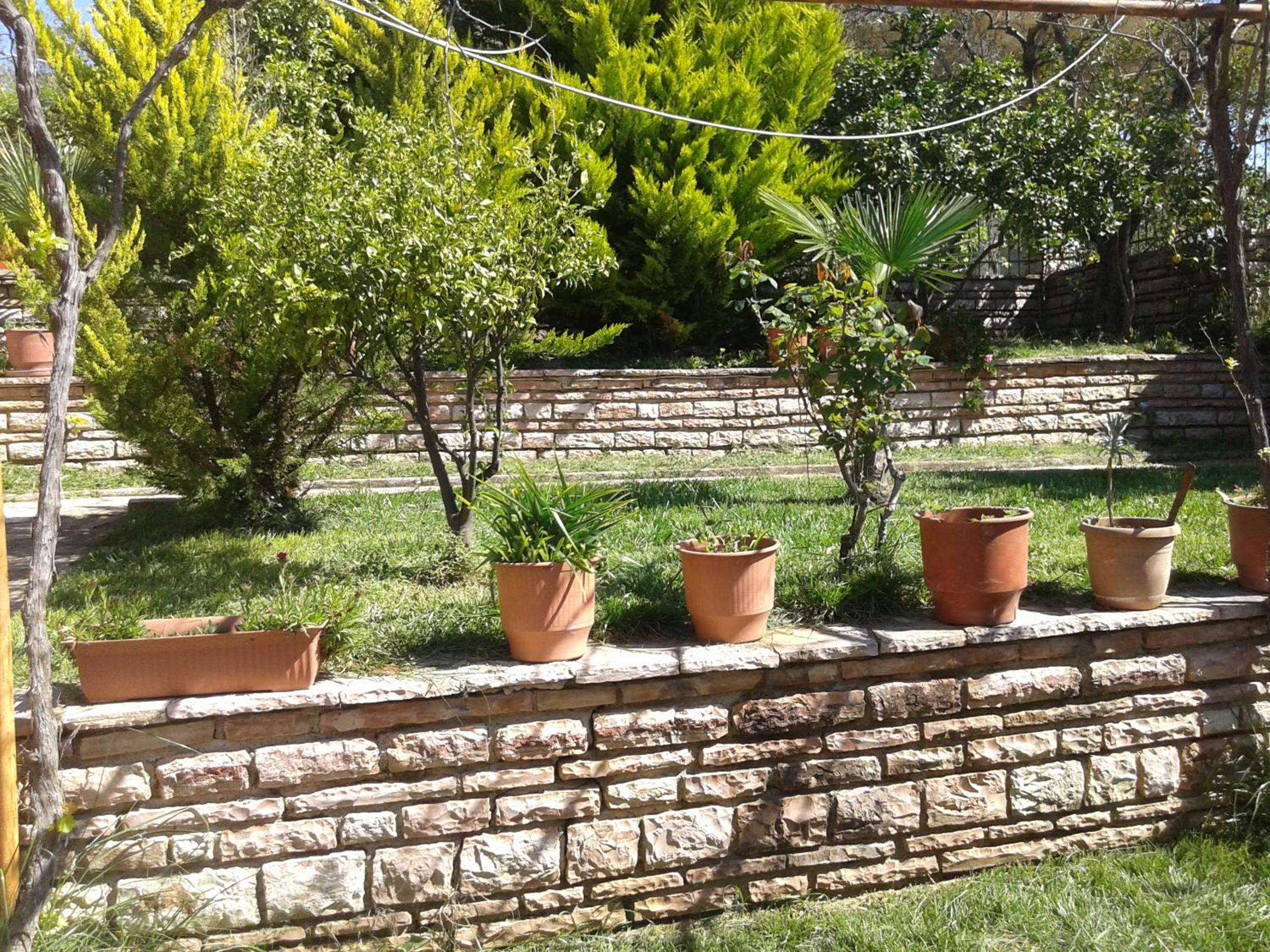 Arti Vila