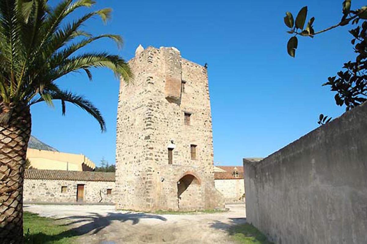 Photo 21