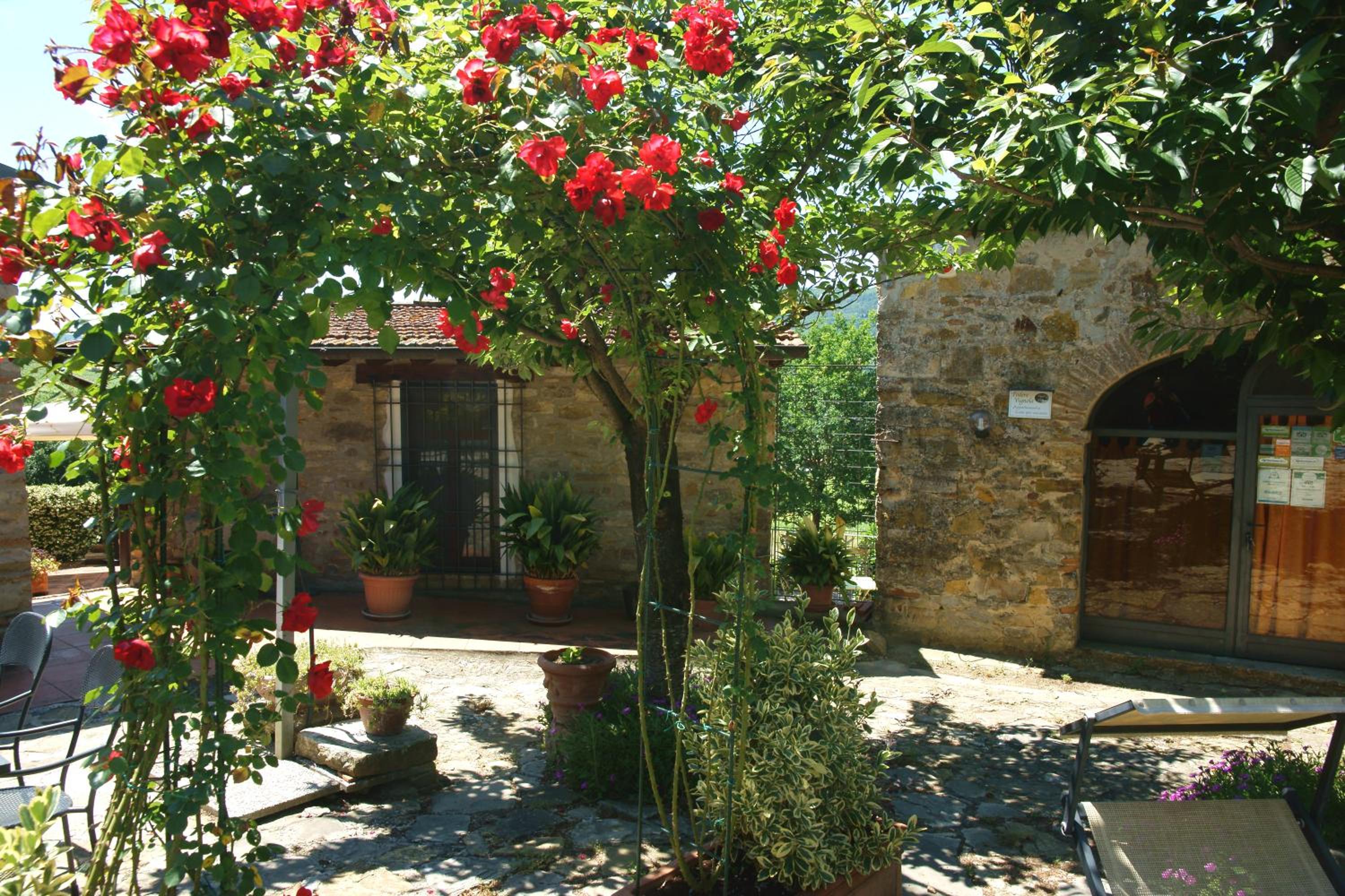 Podere Vignola