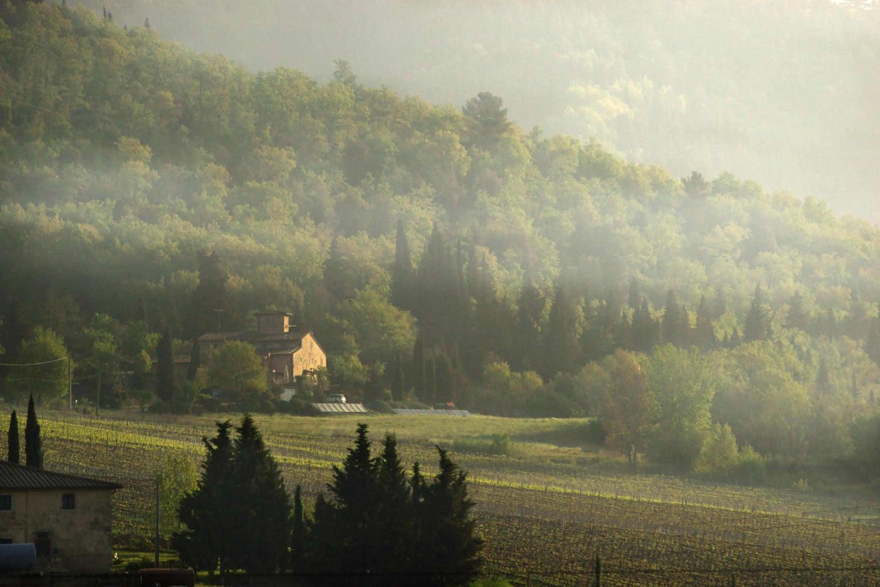 Podere Vignola