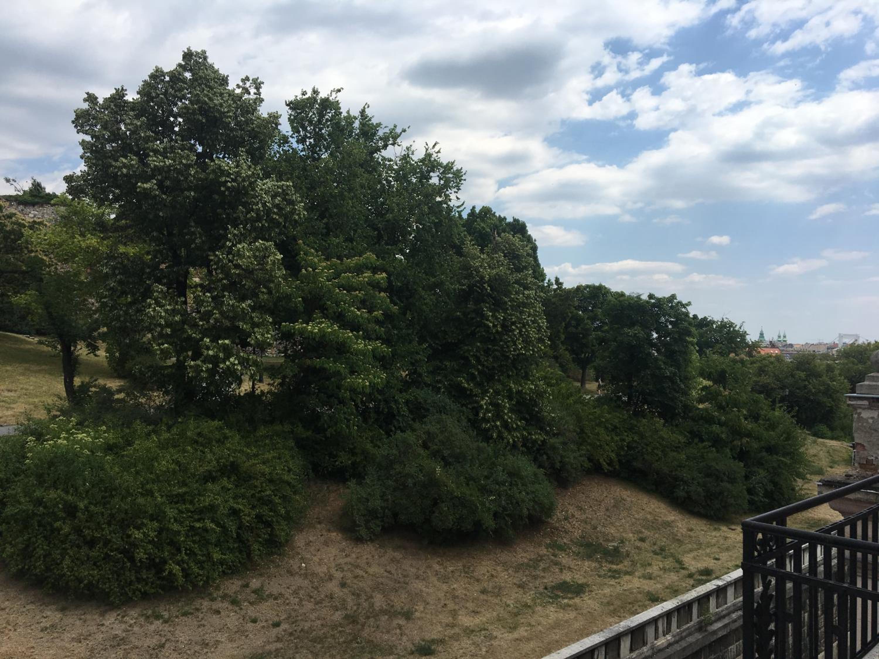 Photo 26