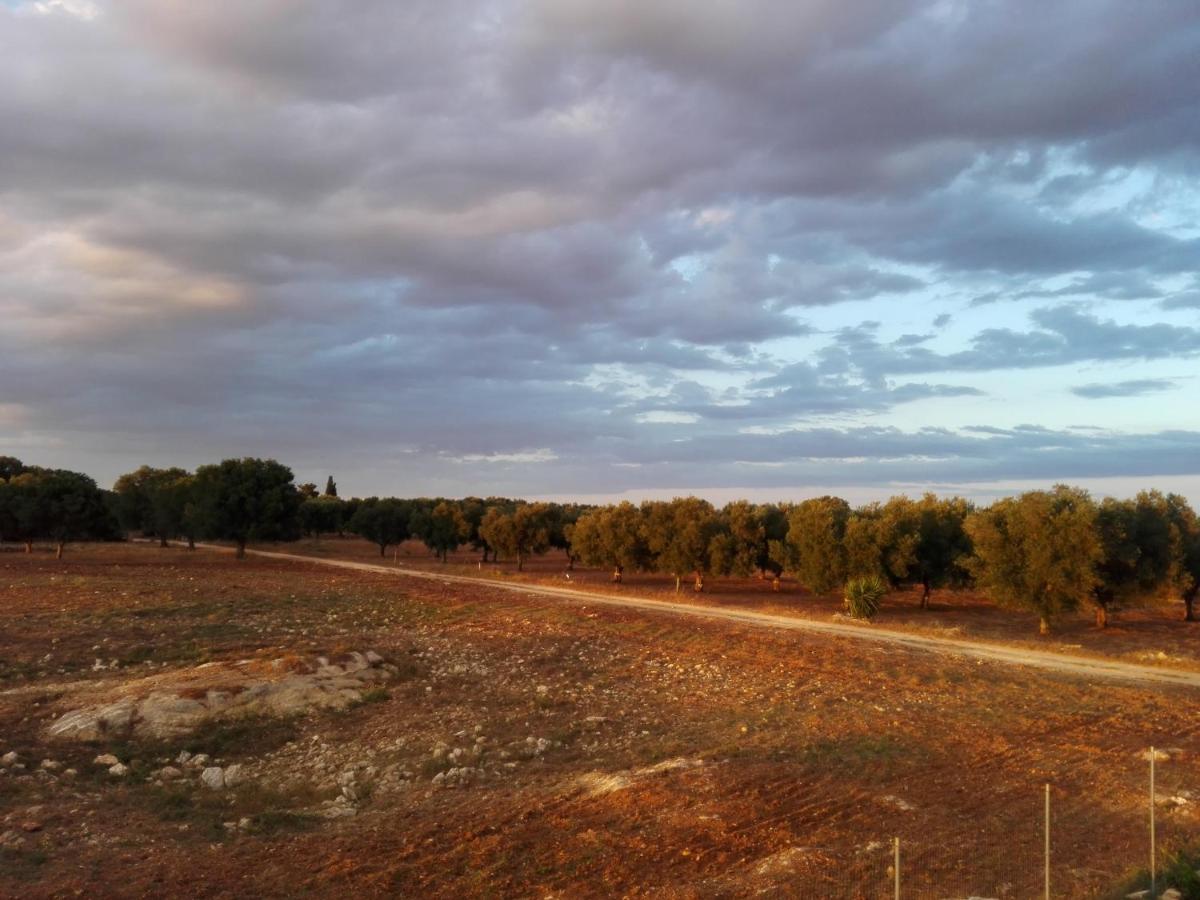 Photo 42