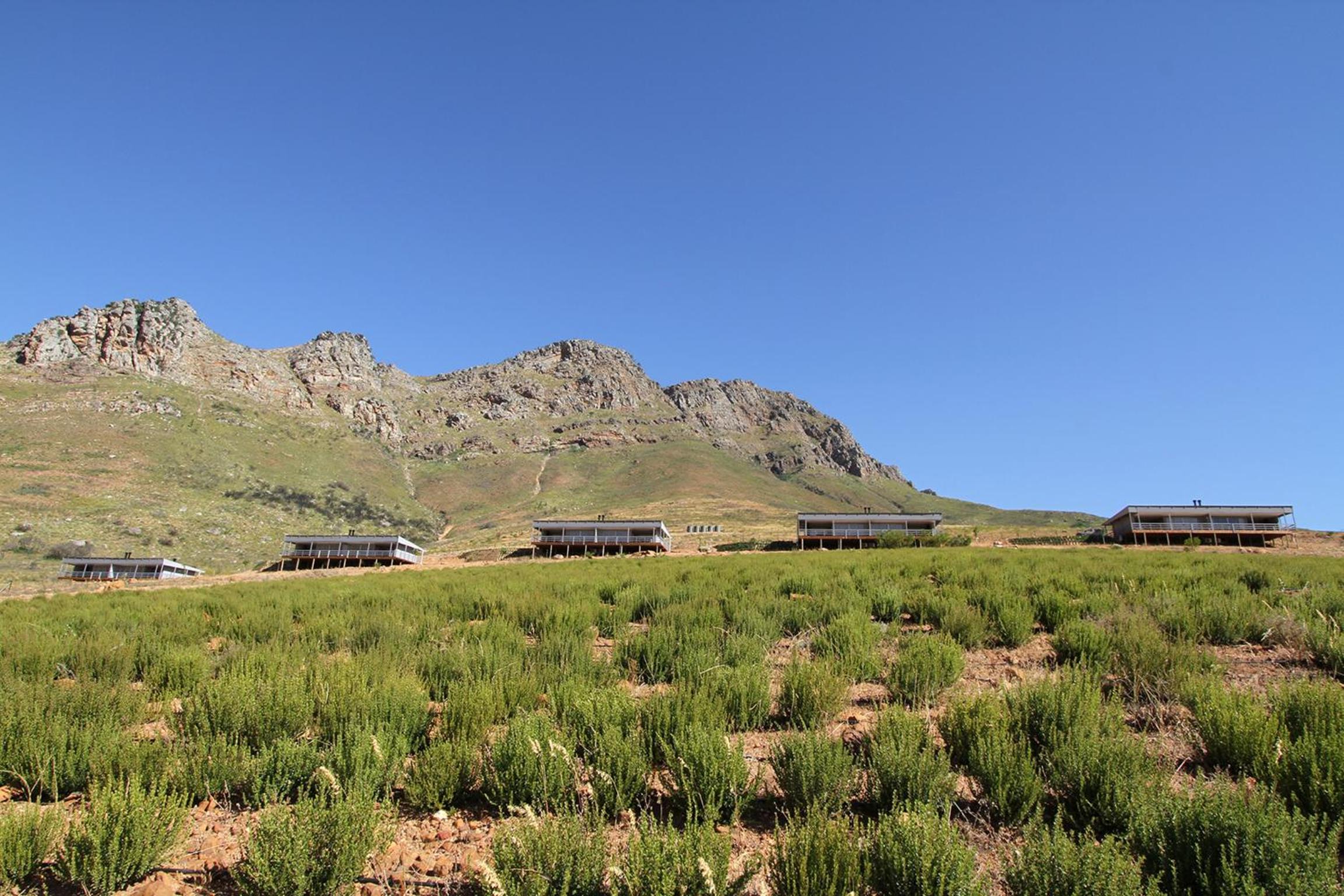 Big Sky Cottages